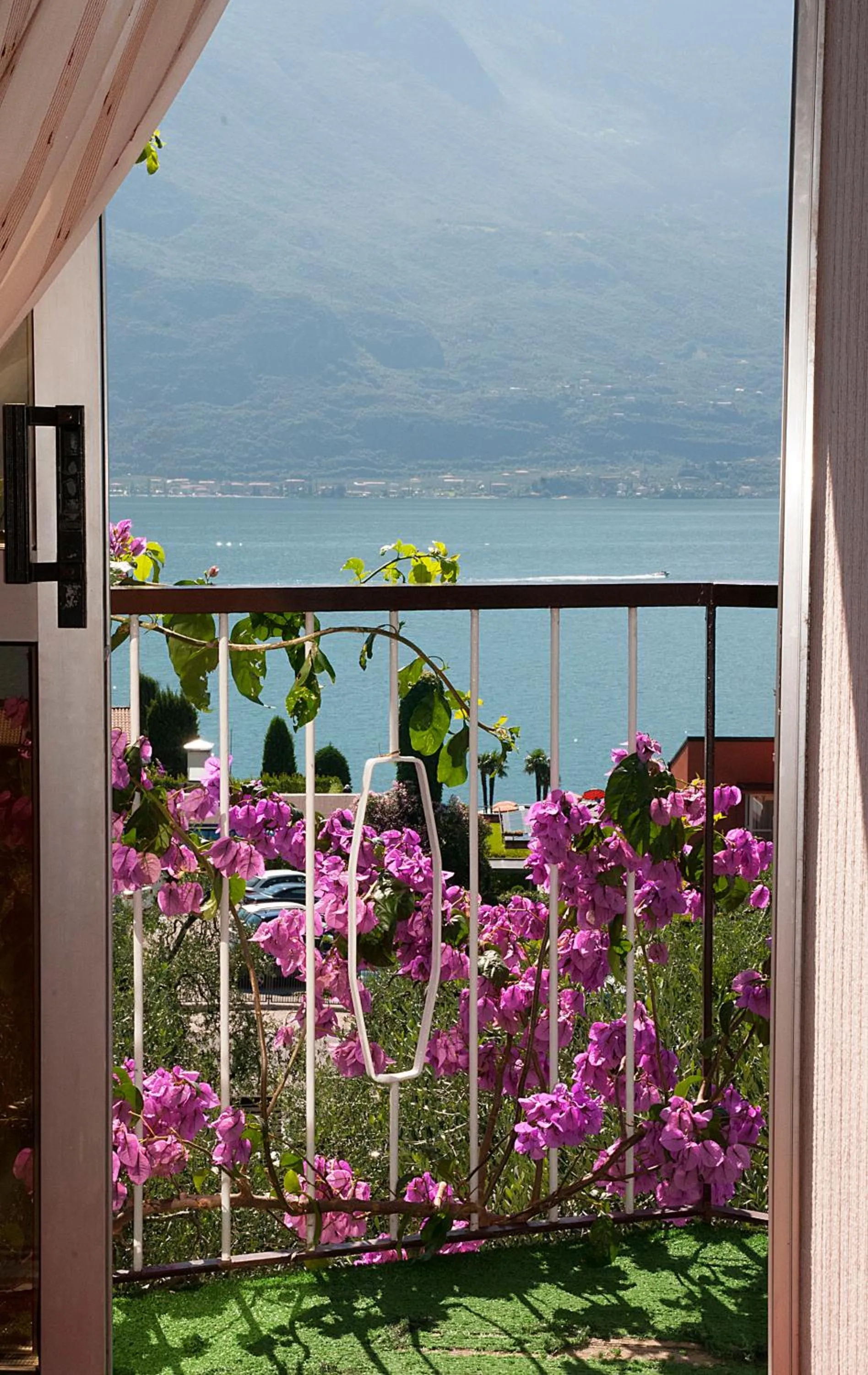 Balcony/Terrace in Hotel Garden