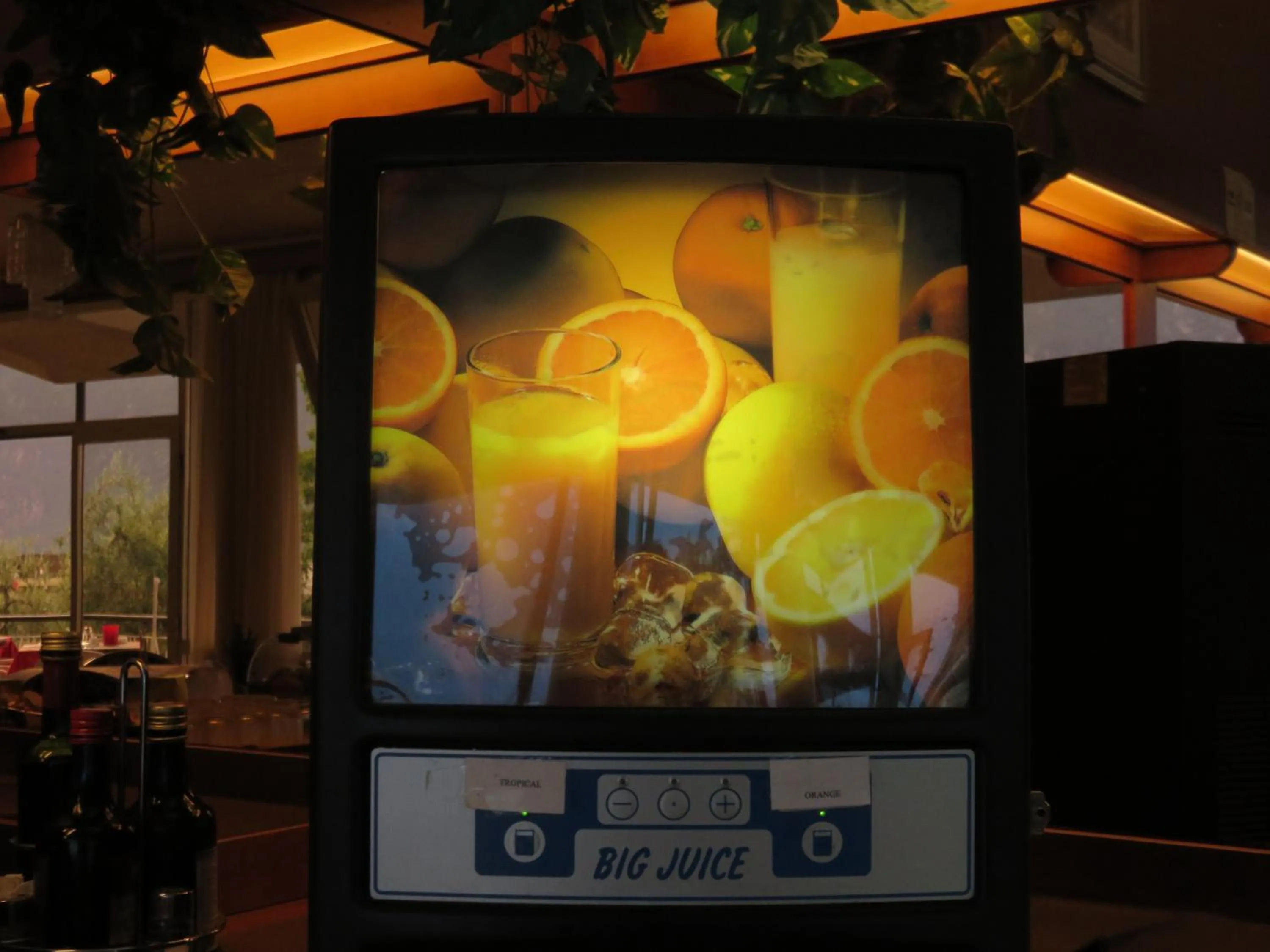 Buffet breakfast in Hotel Garden