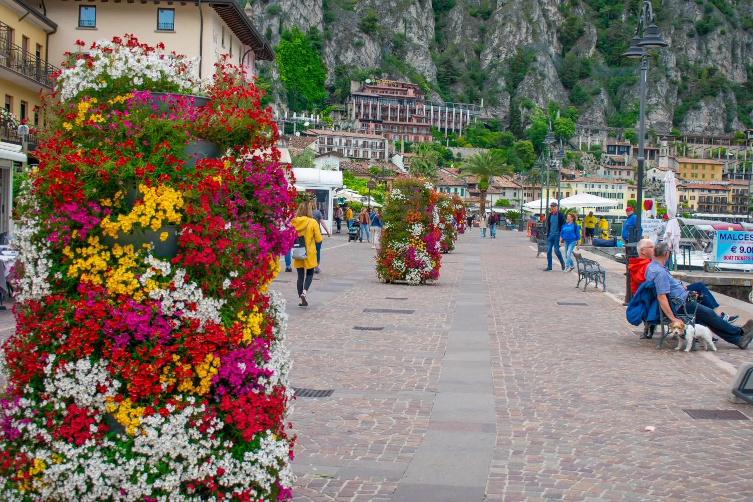 Natural landscape in Hotel Garden NEW MANAGEMENT