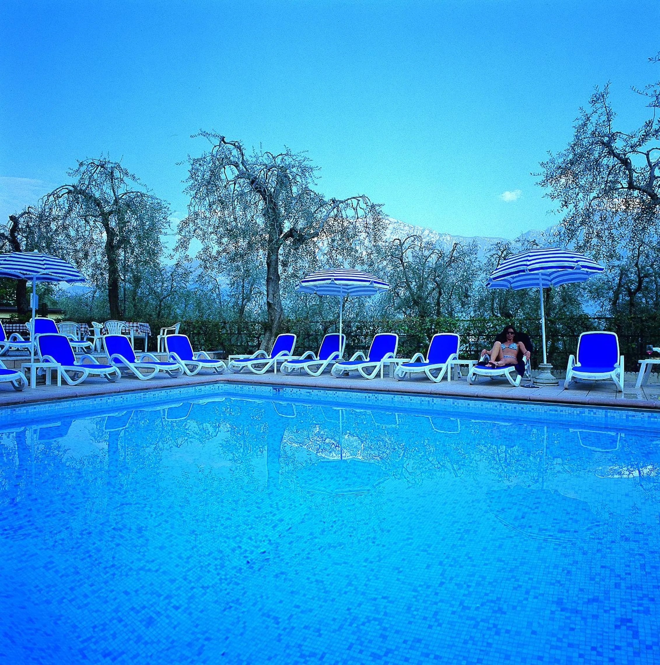 Swimming pool in Hotel Garden