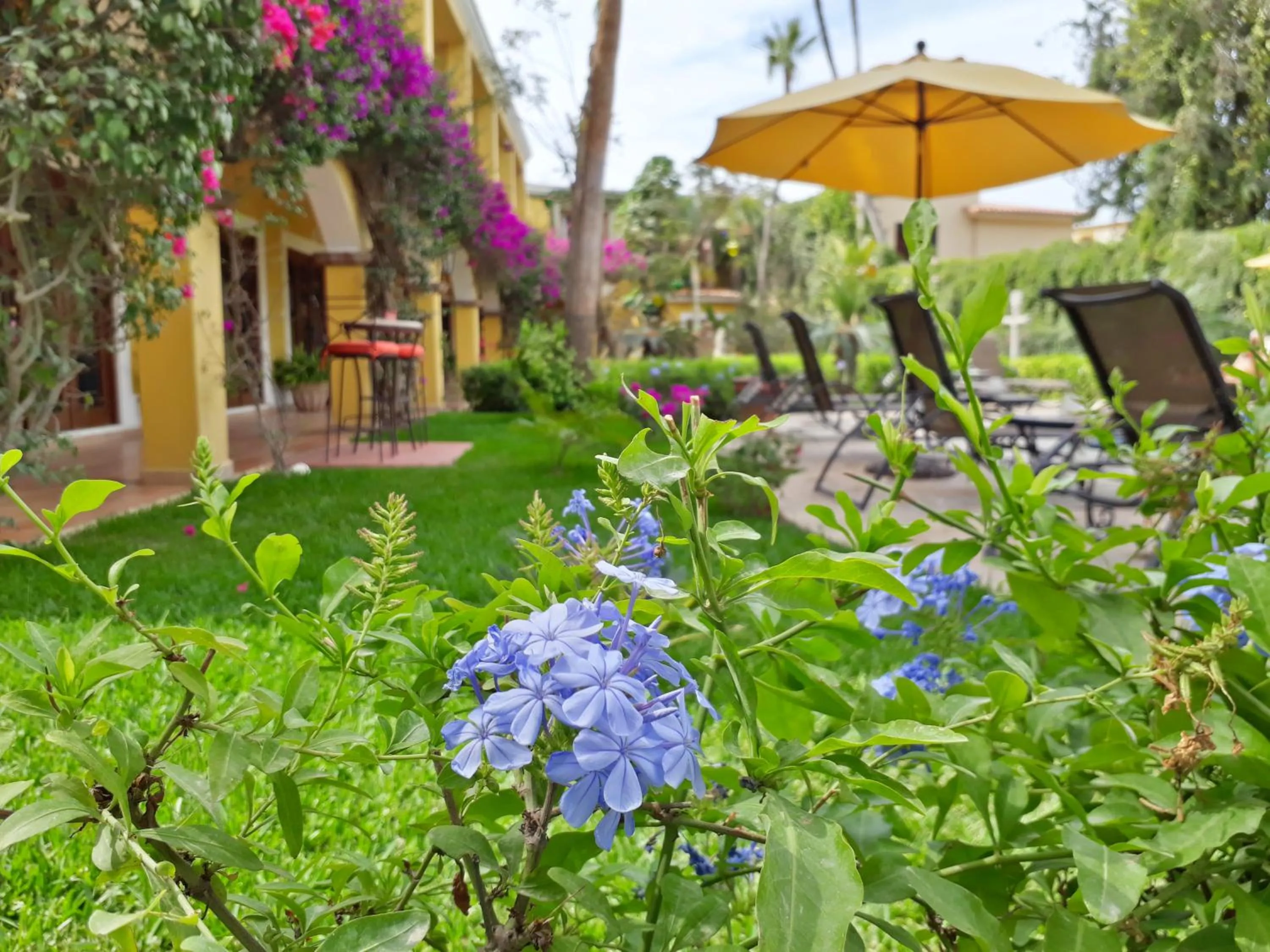 Garden in El Encanto Inn & Suites