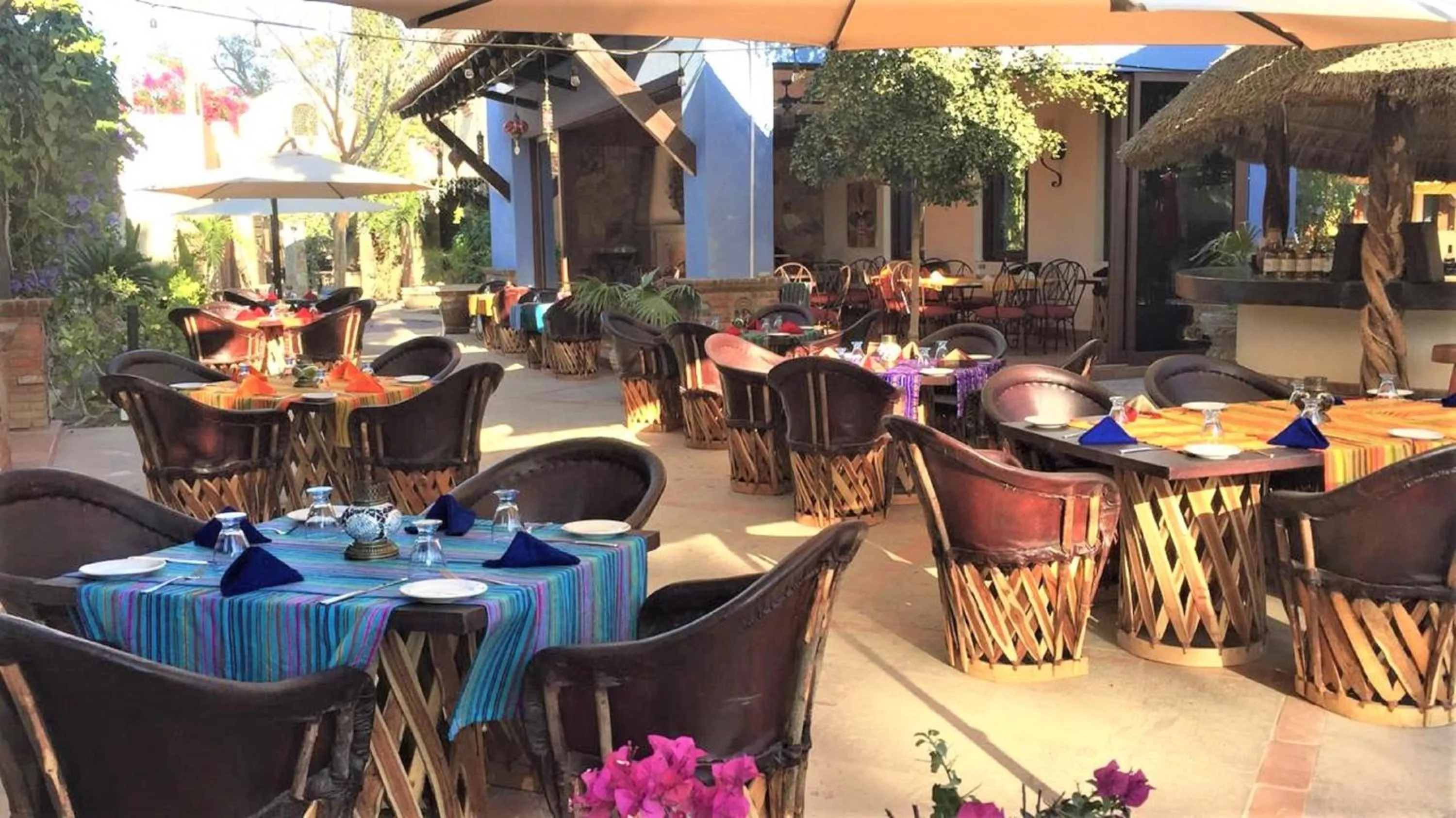 Garden in El Encanto Inn & Suites