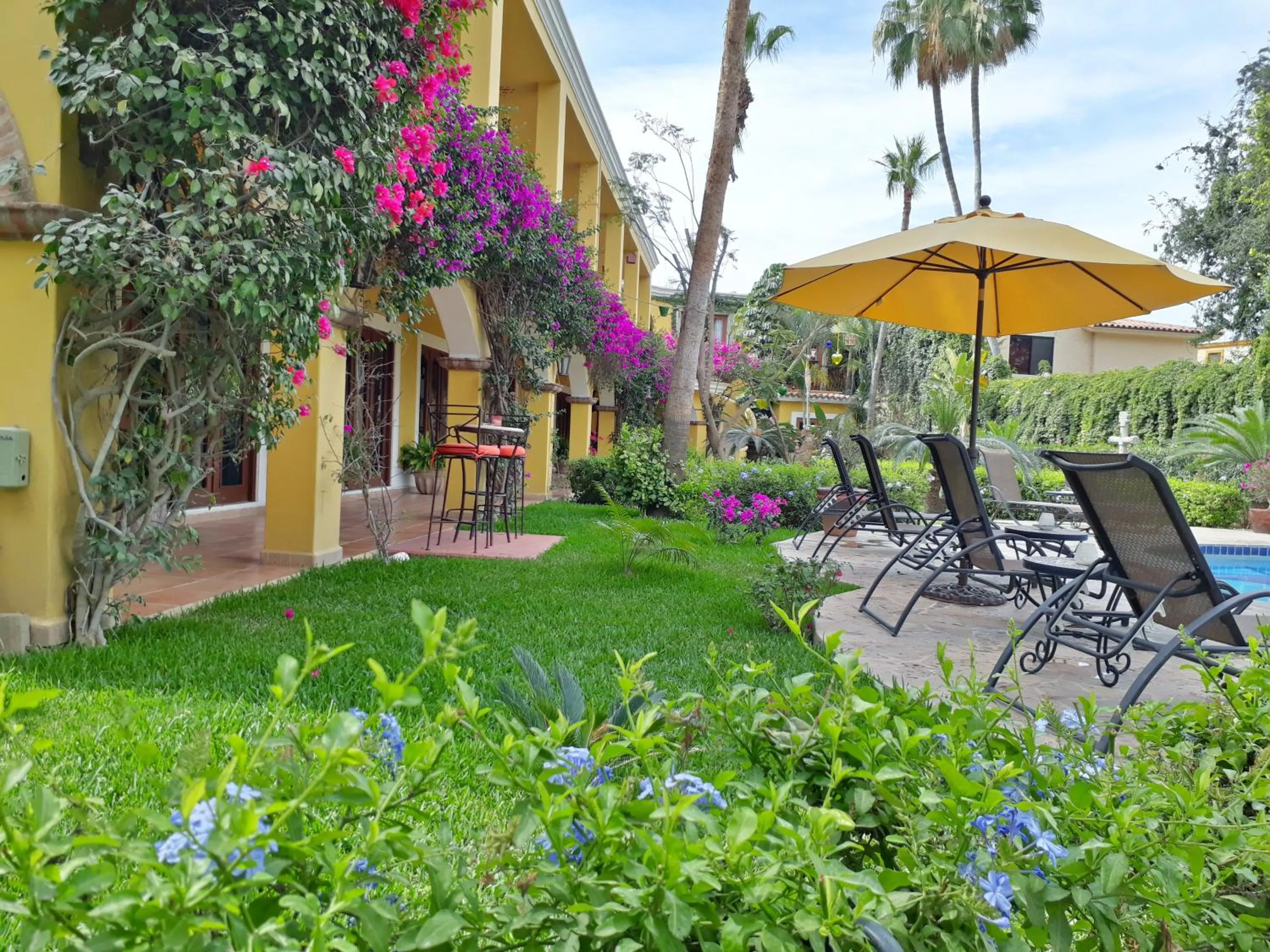 Garden in El Encanto Inn & Suites