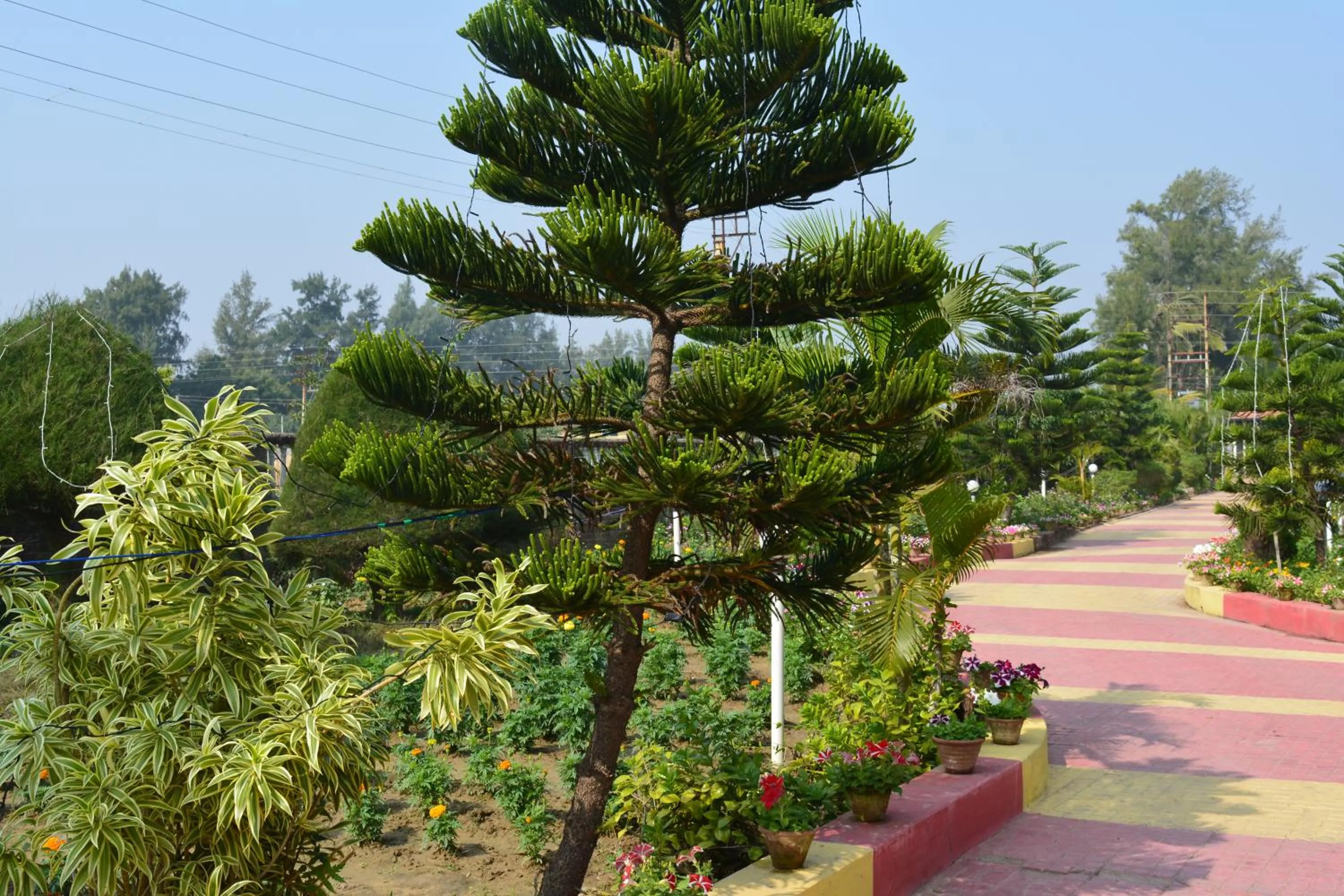Property building in Sunview Resort