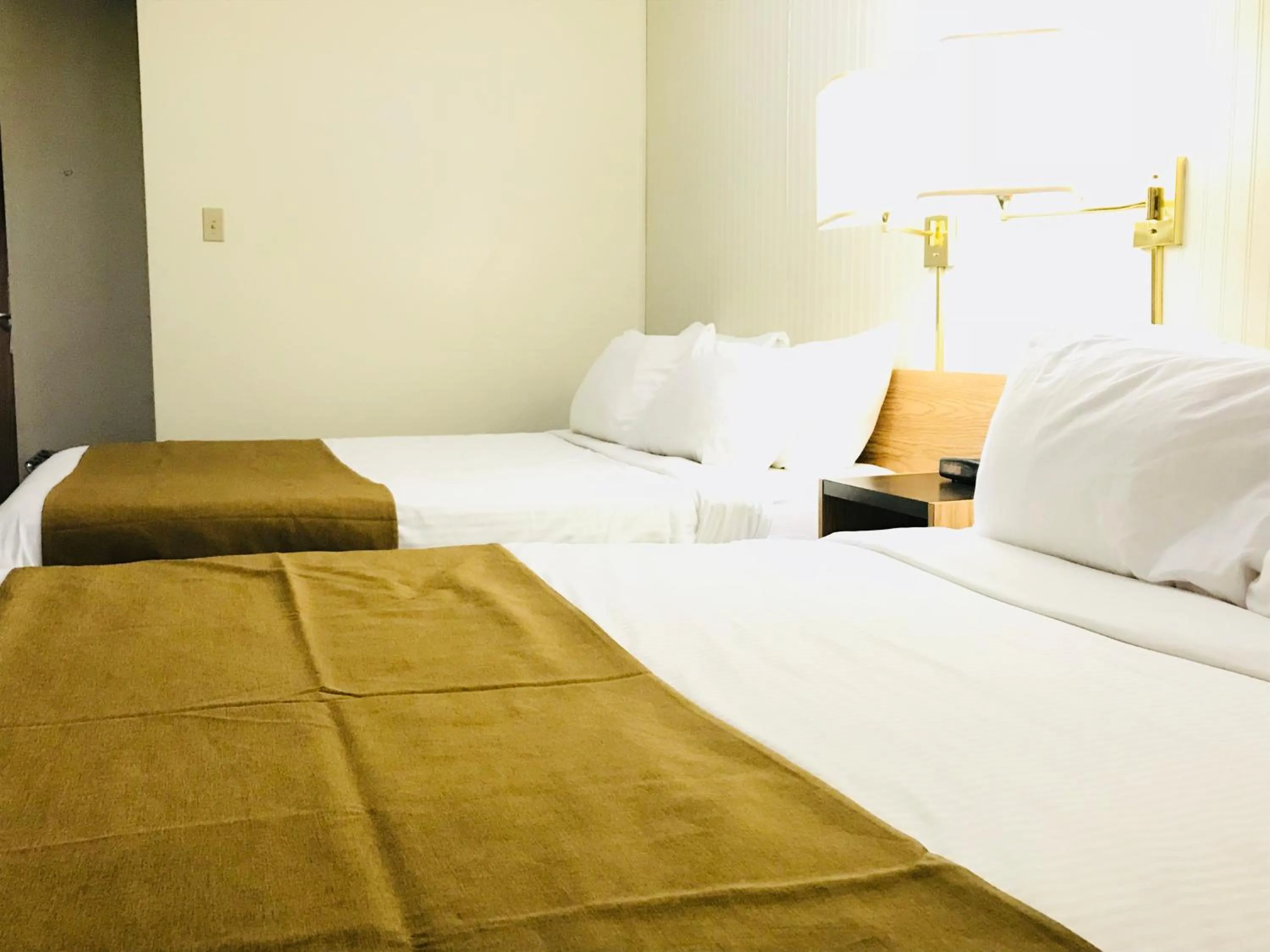 Bed in Northern Star Hotel & Convention Center