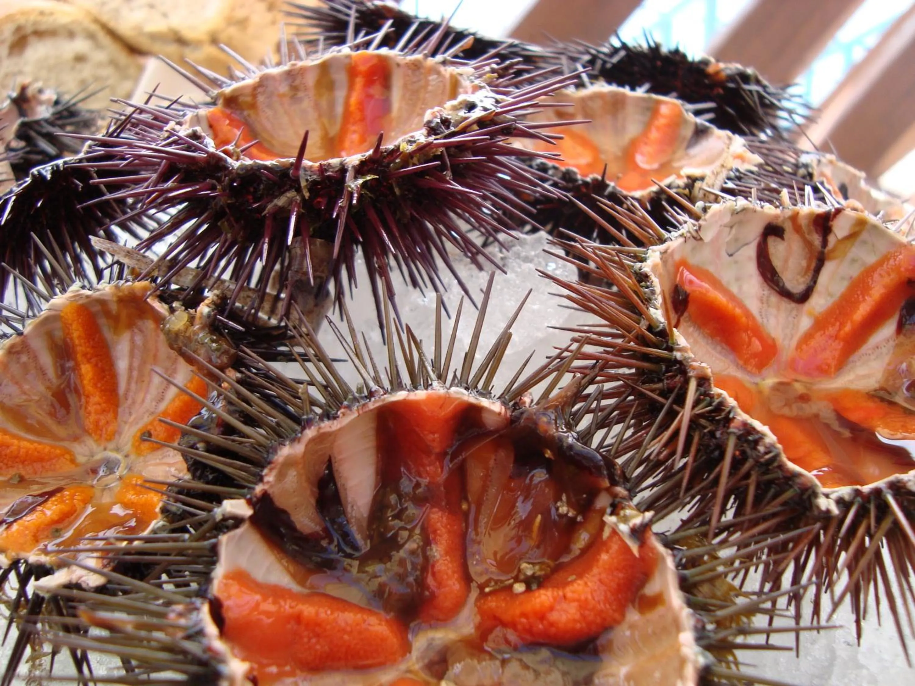 Decorative detail in Lo Scoglio