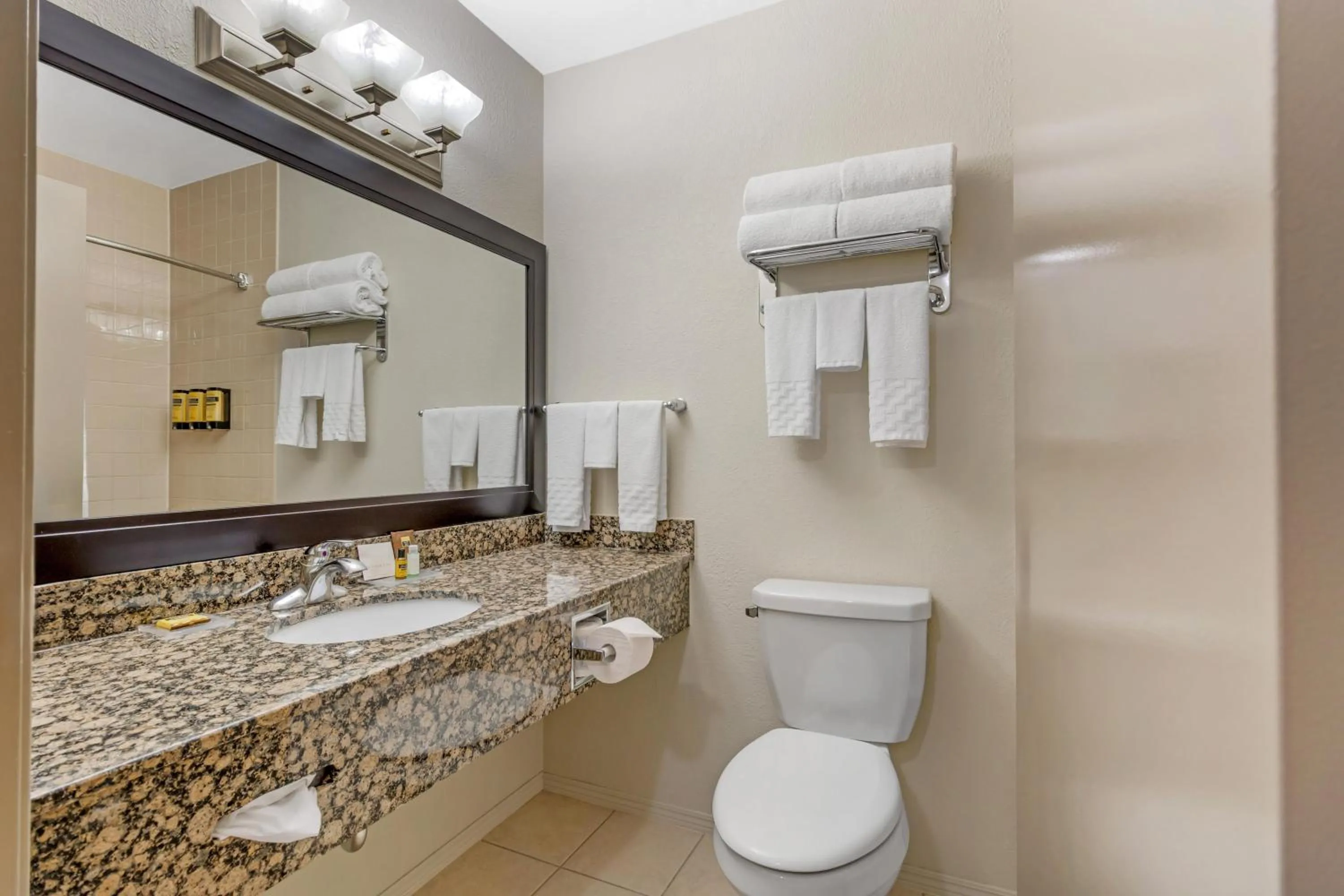 Bathroom in Best Western Plus Pembina Inn & Suites