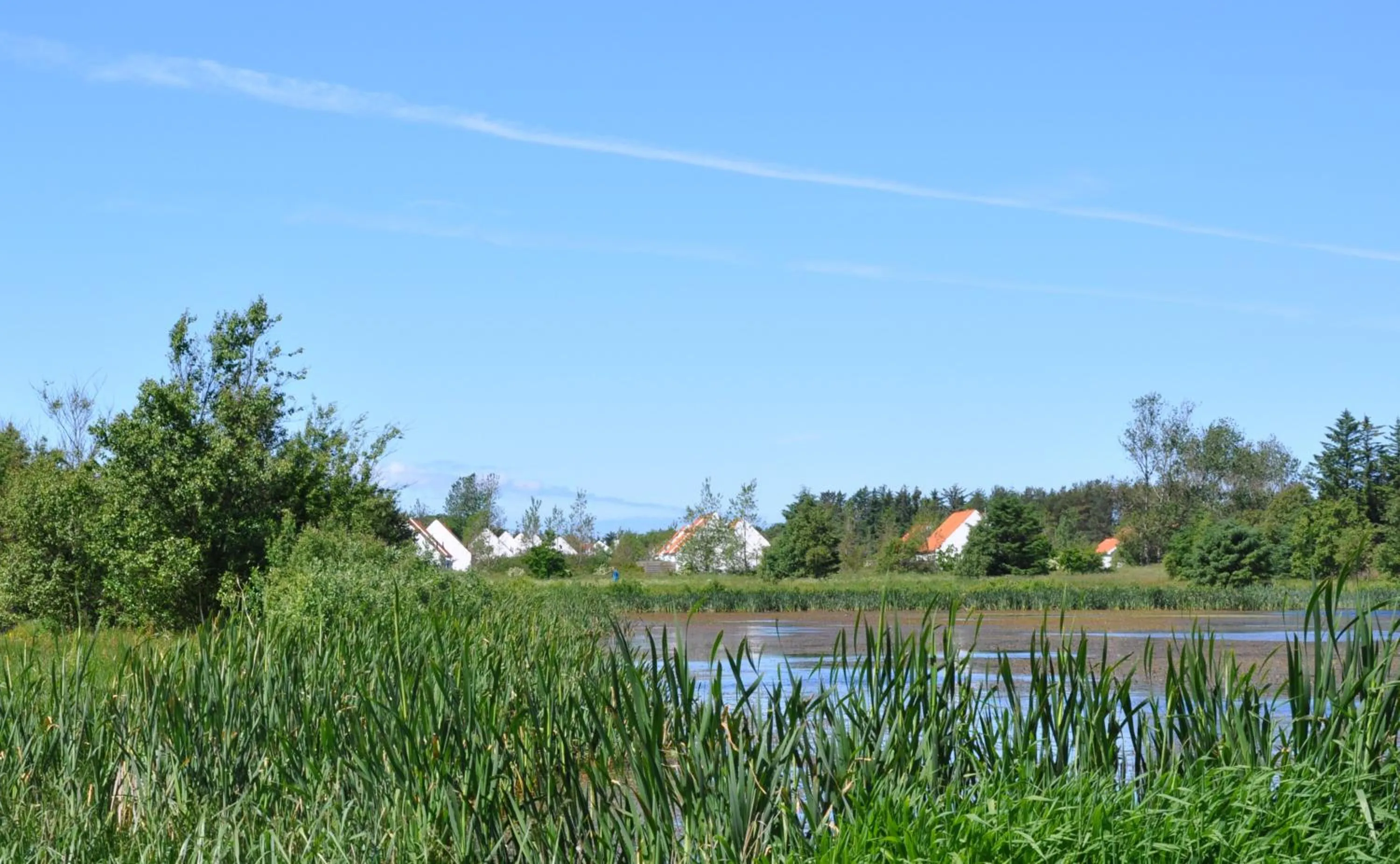 Natural landscape in Skagen Strand Holiday Center