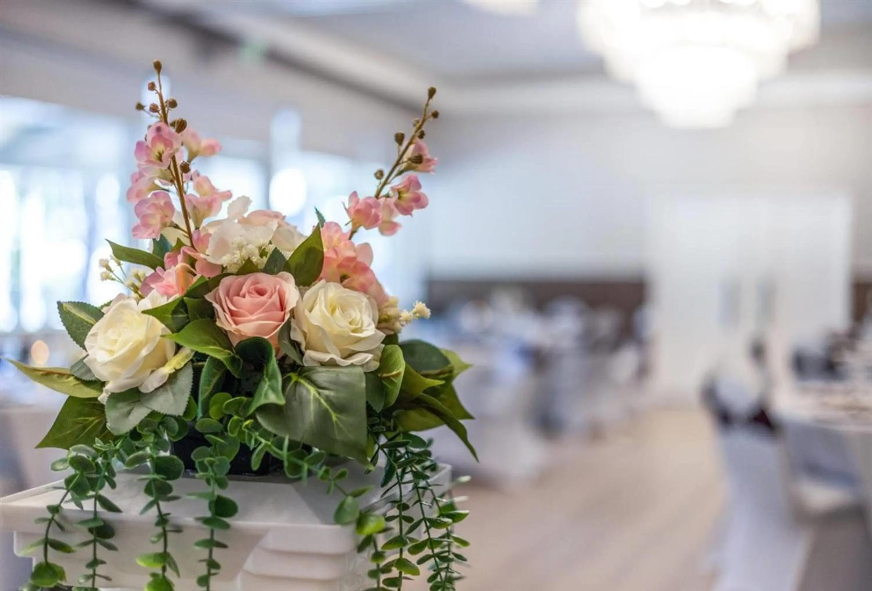 wedding in Prodigy Hotel, a Days Inn by Wyndham