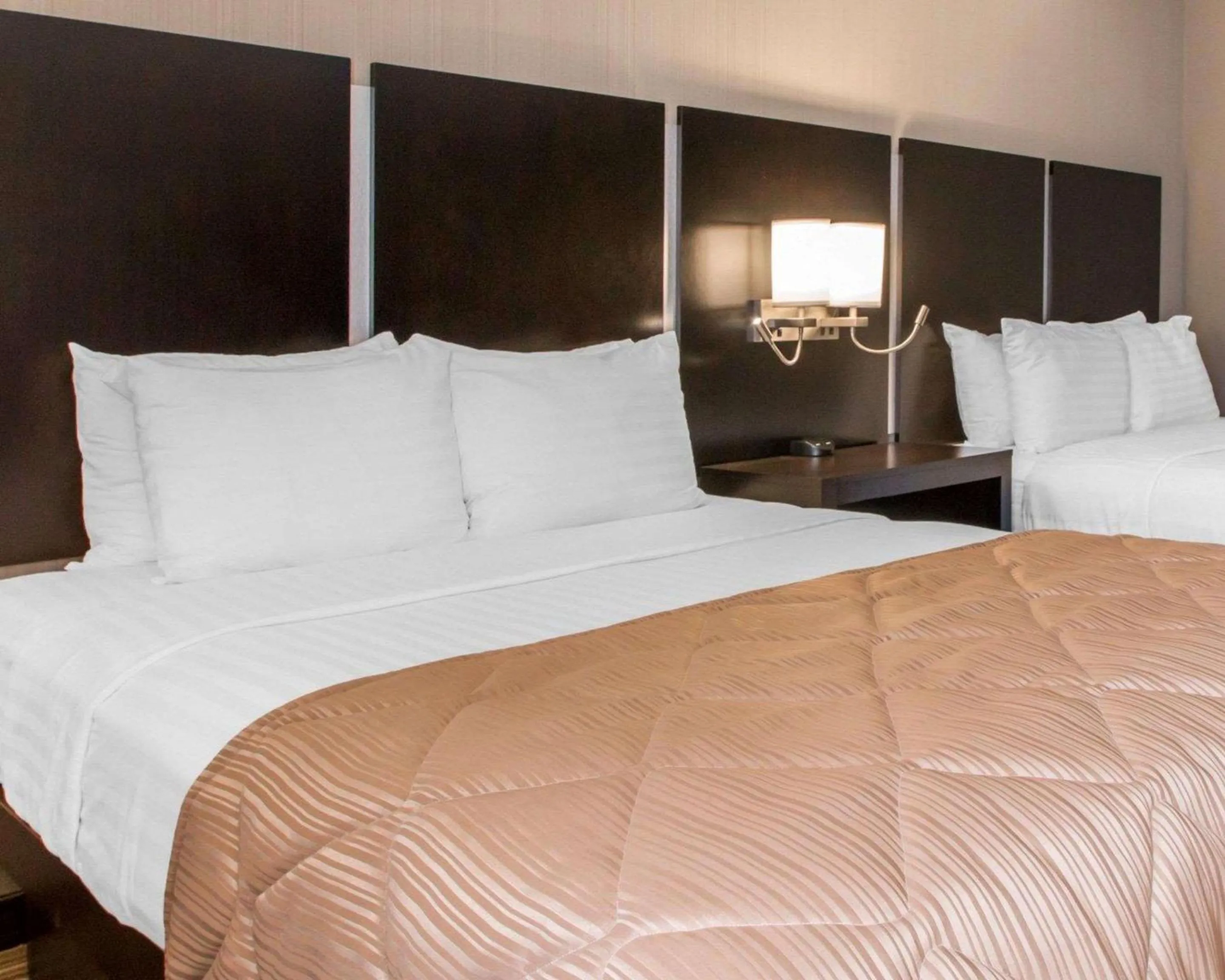 Photo of the whole room, Bed in Greenstay Inn & Suites Court View