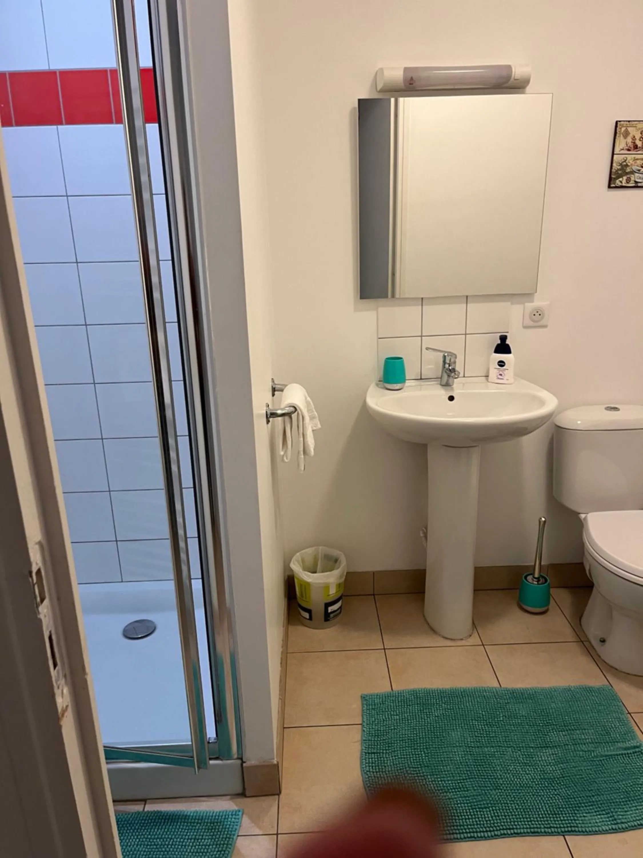 Shower in chambres de la Nonette