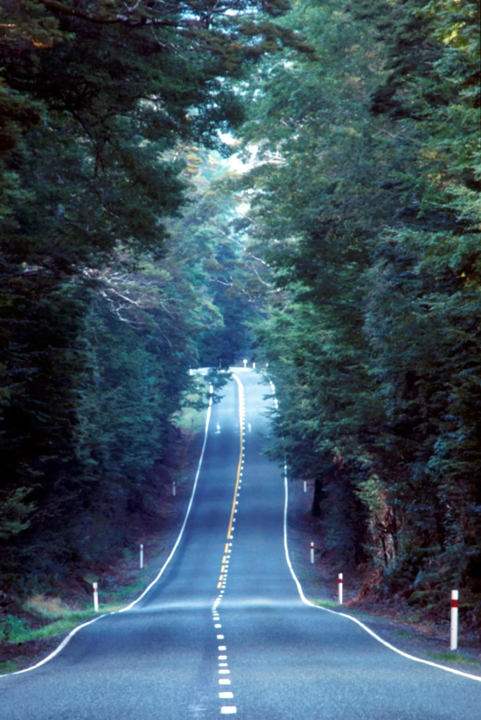 Area and facilities in Anchorage Motel Apartments