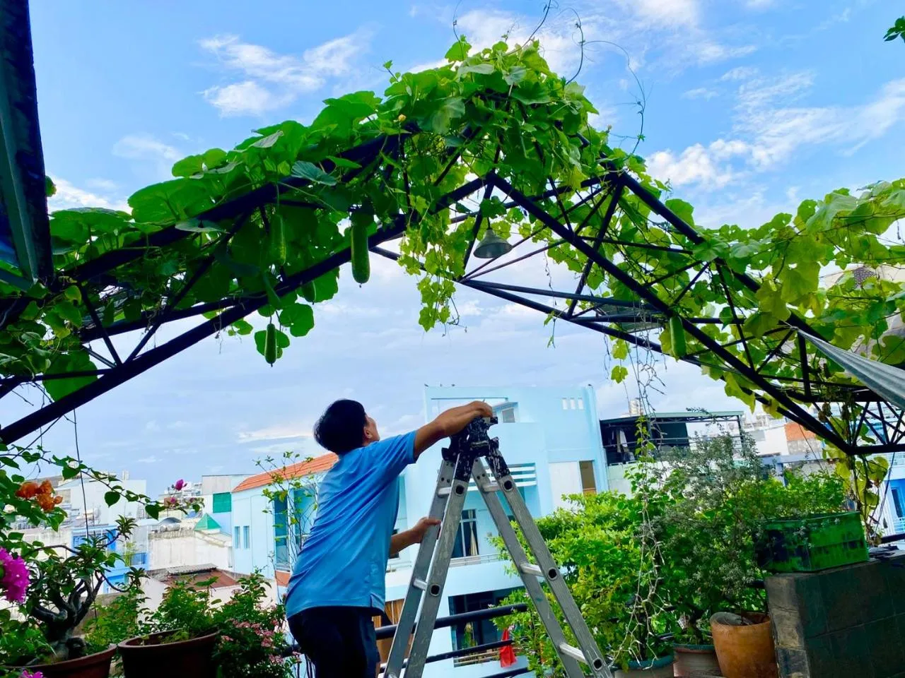 Khách sạn Minh Châu - Hòa Hưng