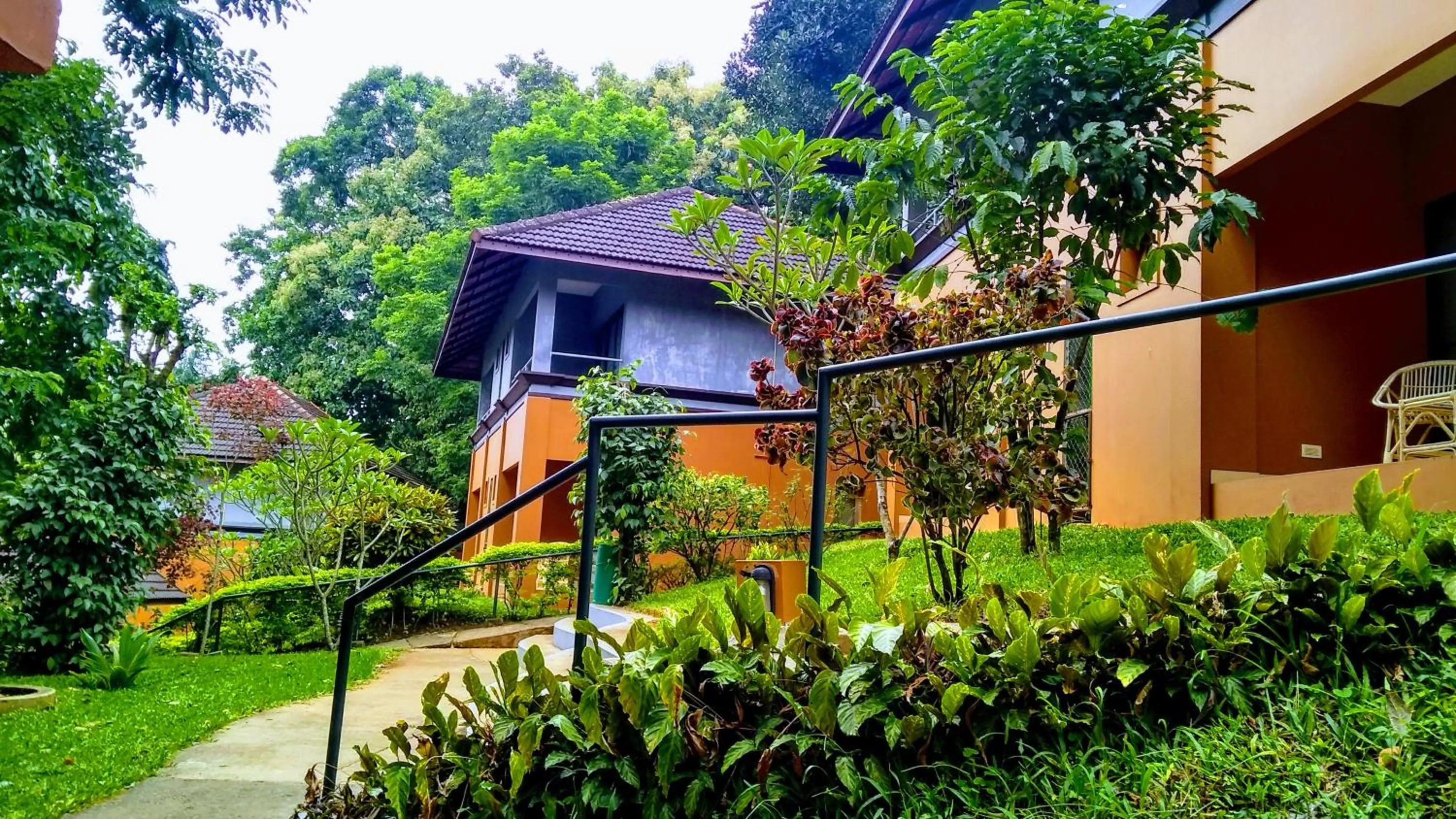 Garden in Abad Green Forest Thekkady