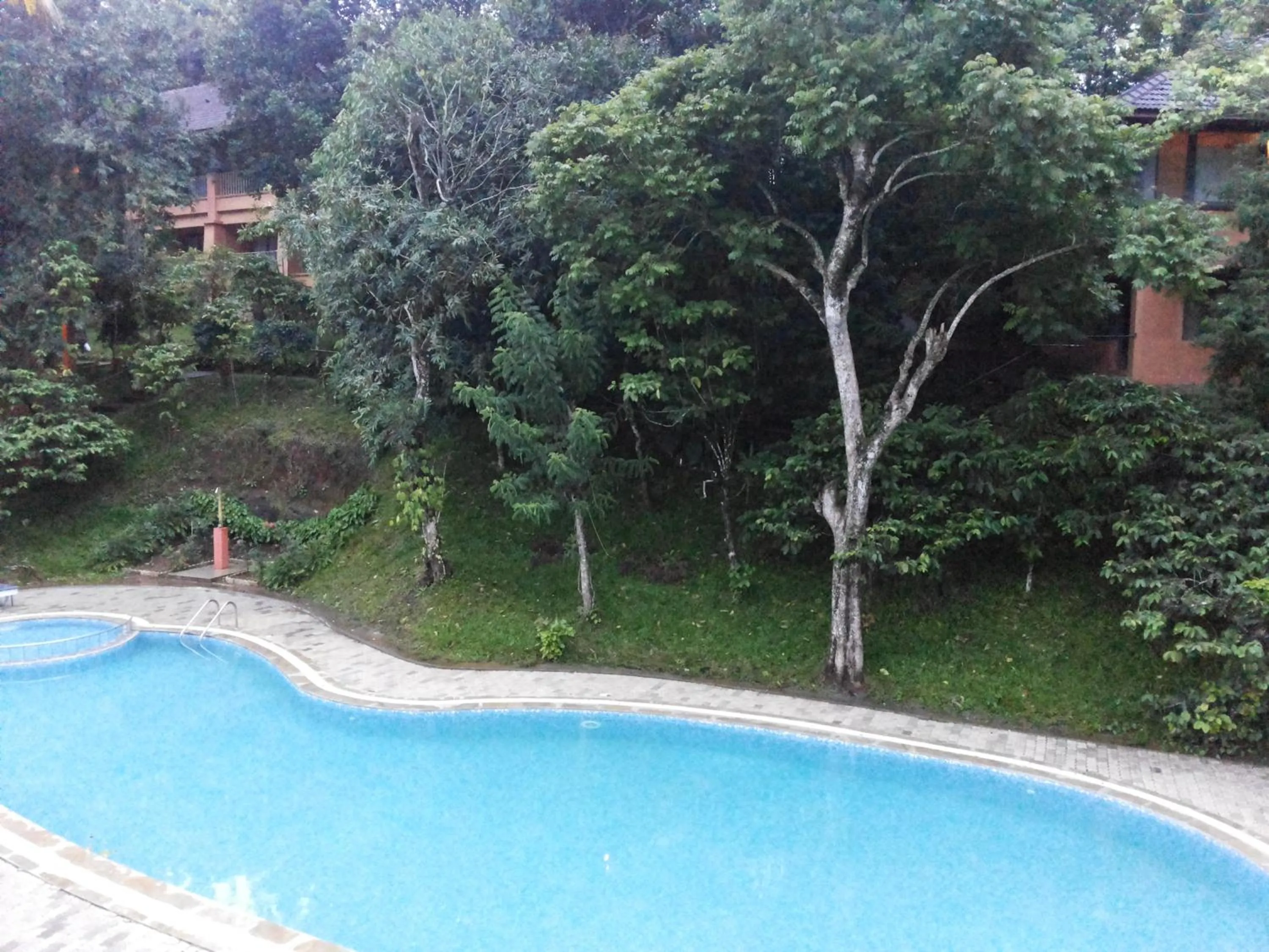 Swimming pool in Abad Green Forest Thekkady