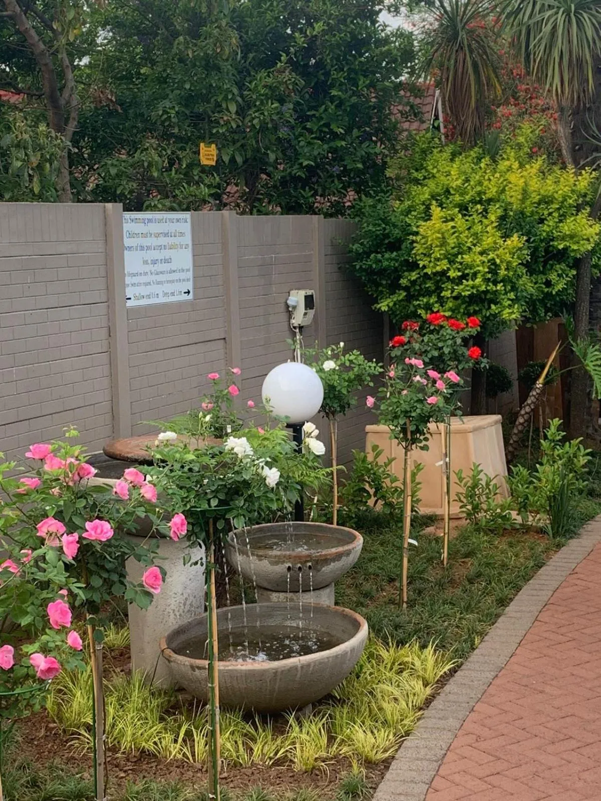 Garden in Diamond Rose Guest House