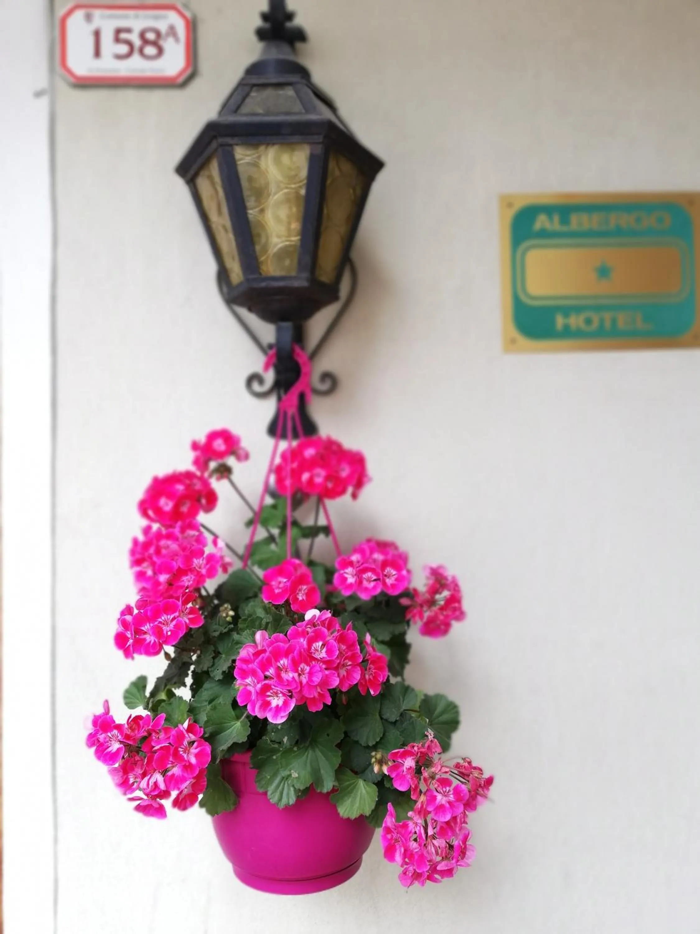 Property building in Garni Delia