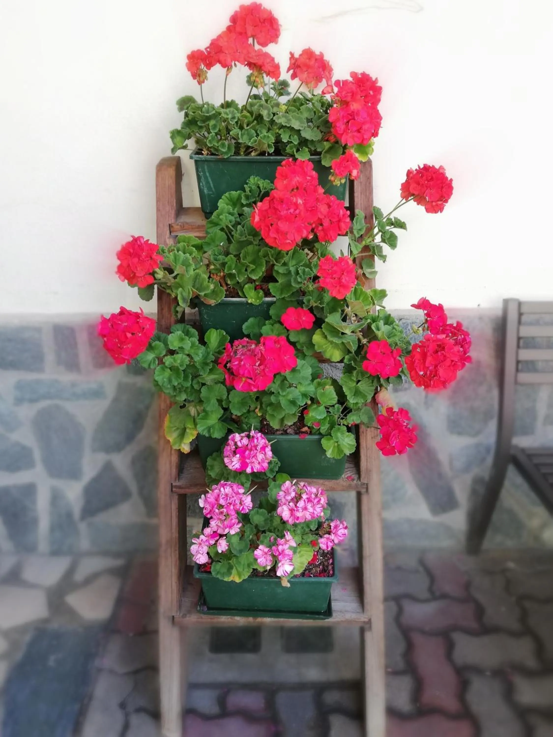 Property building in Garni Delia