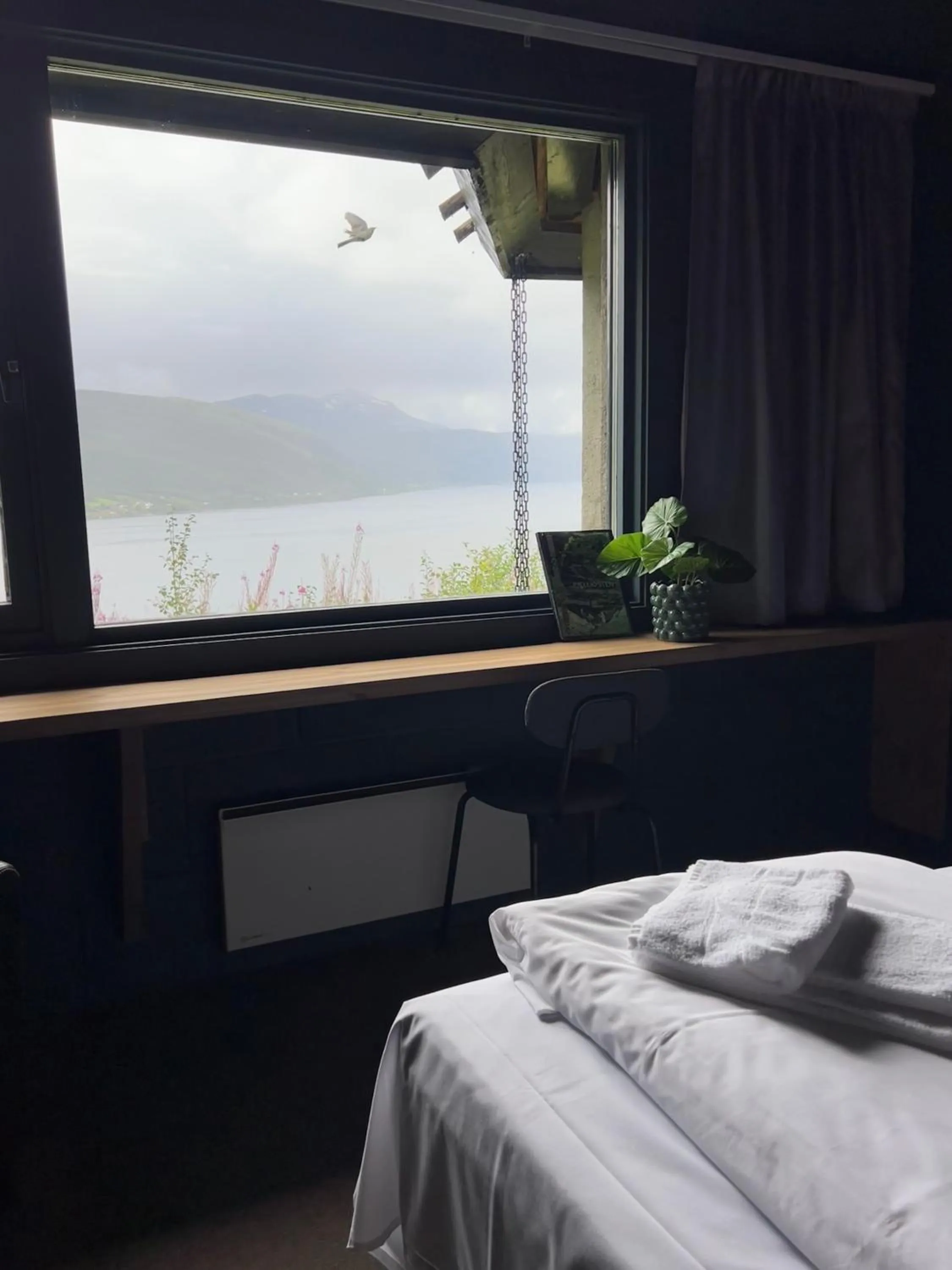 View (from property/room), Bed in Fjellkysten