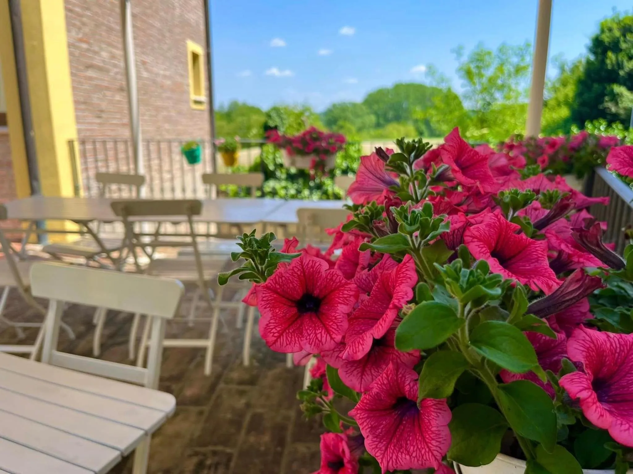 Balcony/Terrace in Bed & Breakfast Carpe Diem