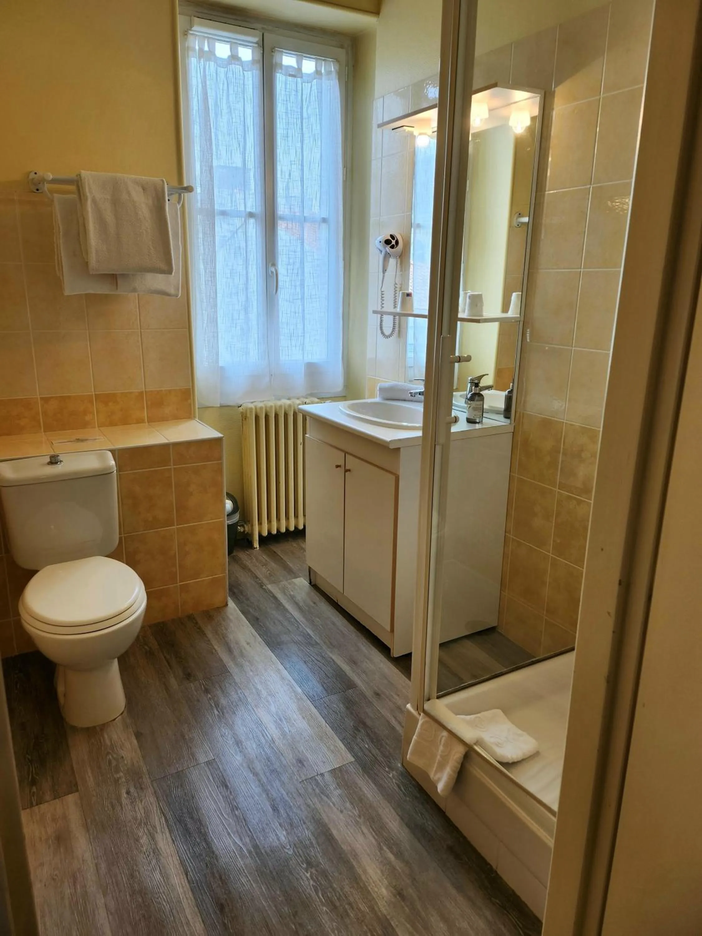 Toilet in Logis Hôtel Lafayette Rochefort France