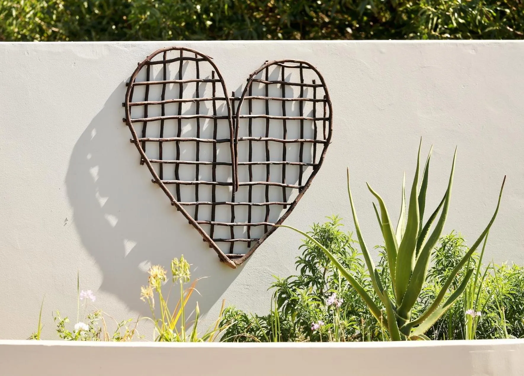 Garden in Three Feathers Cottages