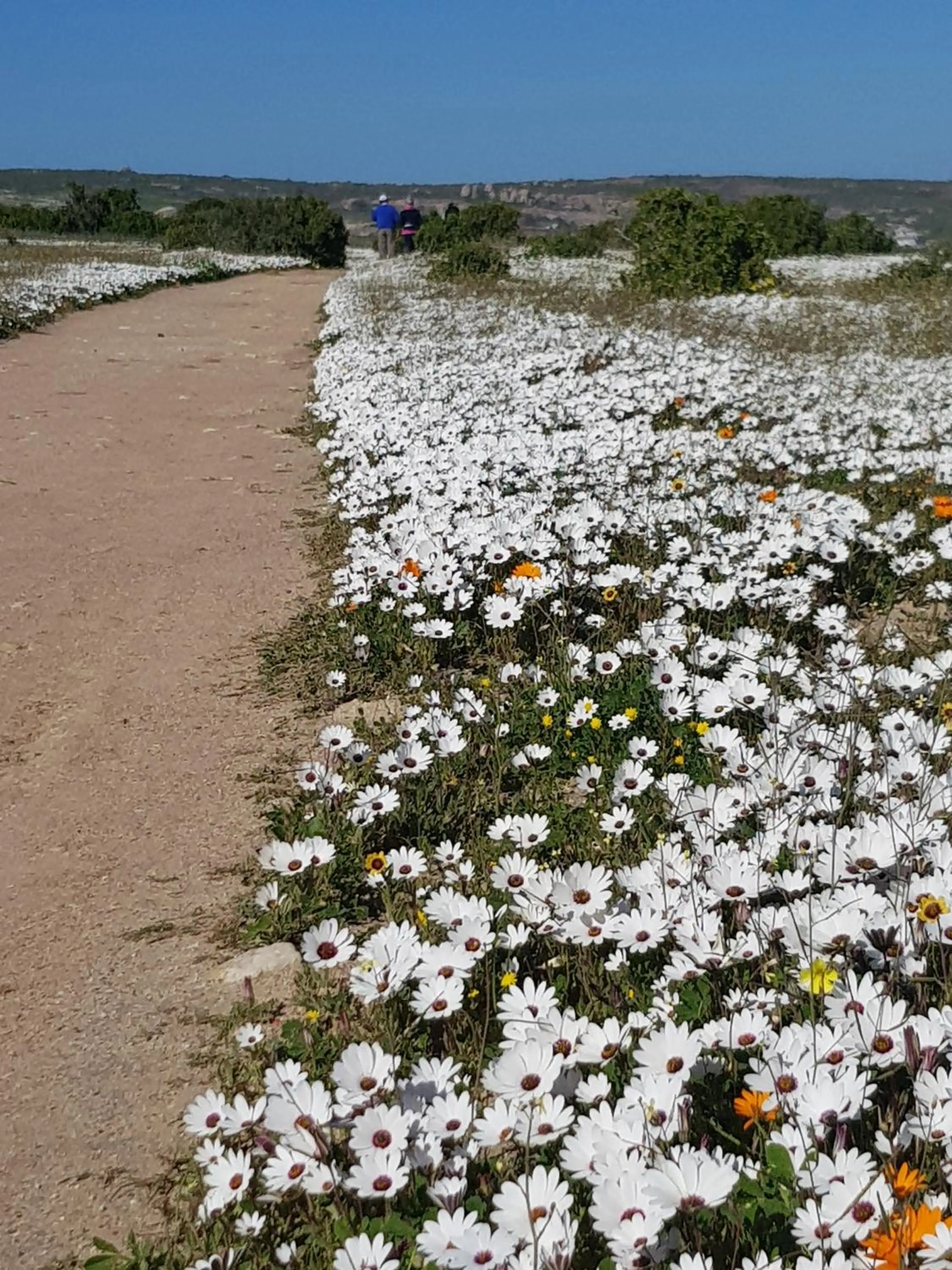 Hiking in Three Feathers Cottages