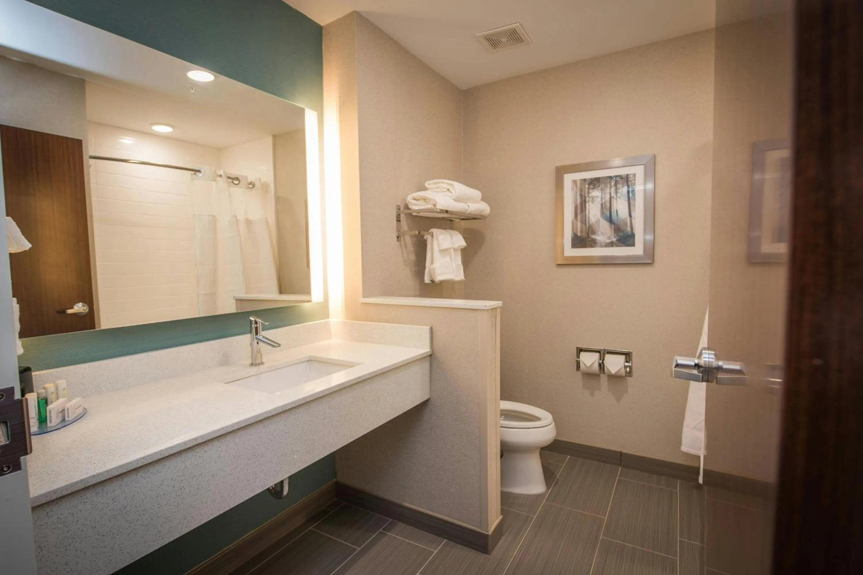 Bathroom in Fairfield Inn & Suites by Marriott Huntsville