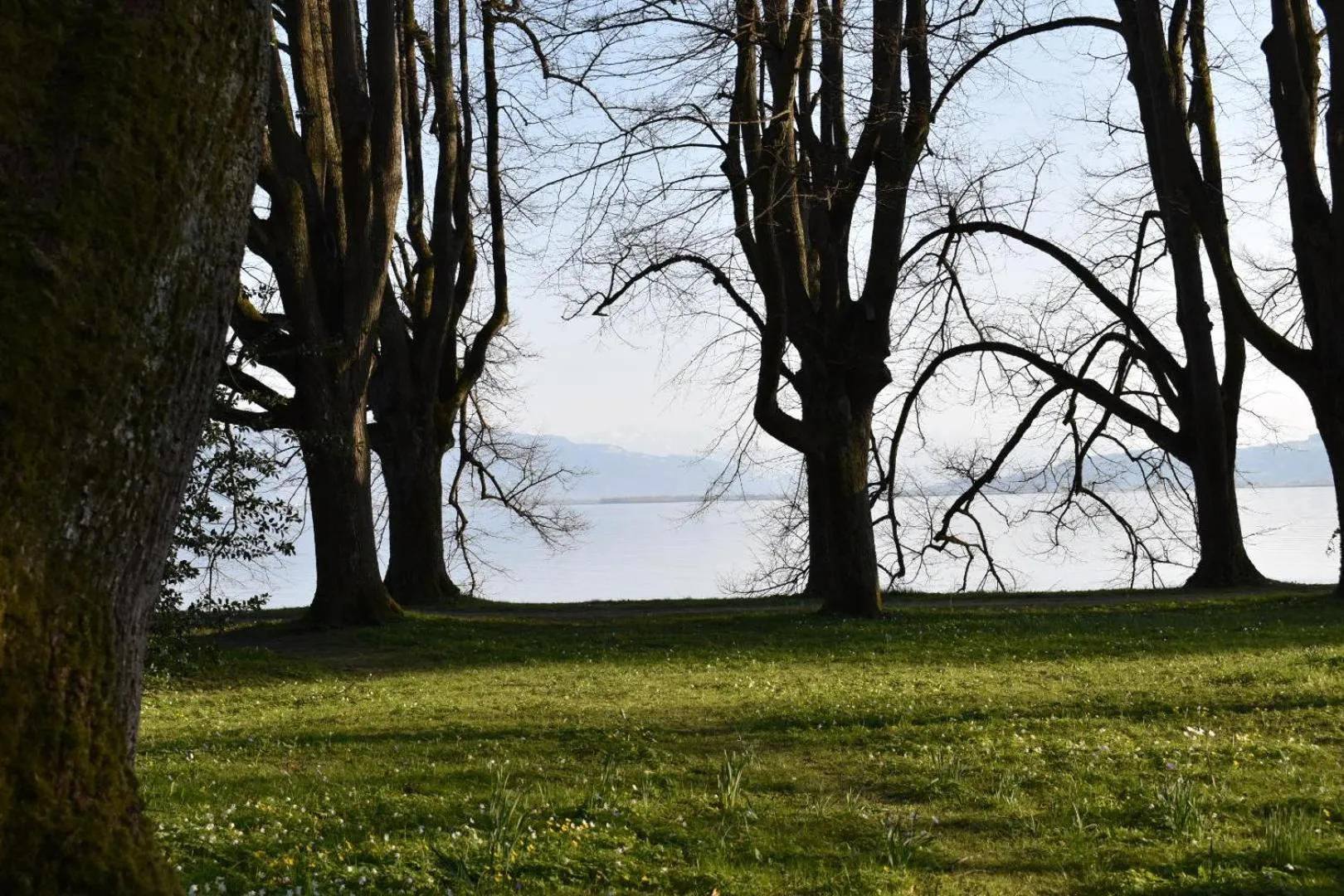 Natural landscape in Hotel Lindenallee