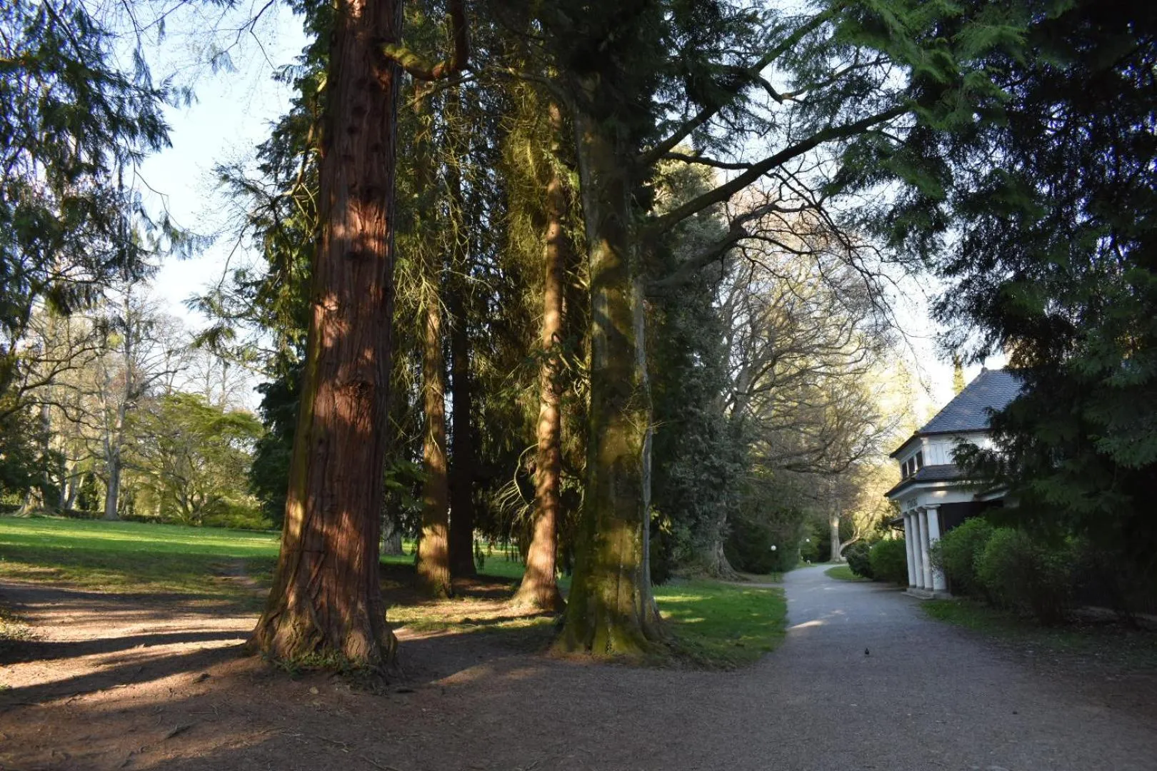 Natural landscape in Hotel Lindenallee
