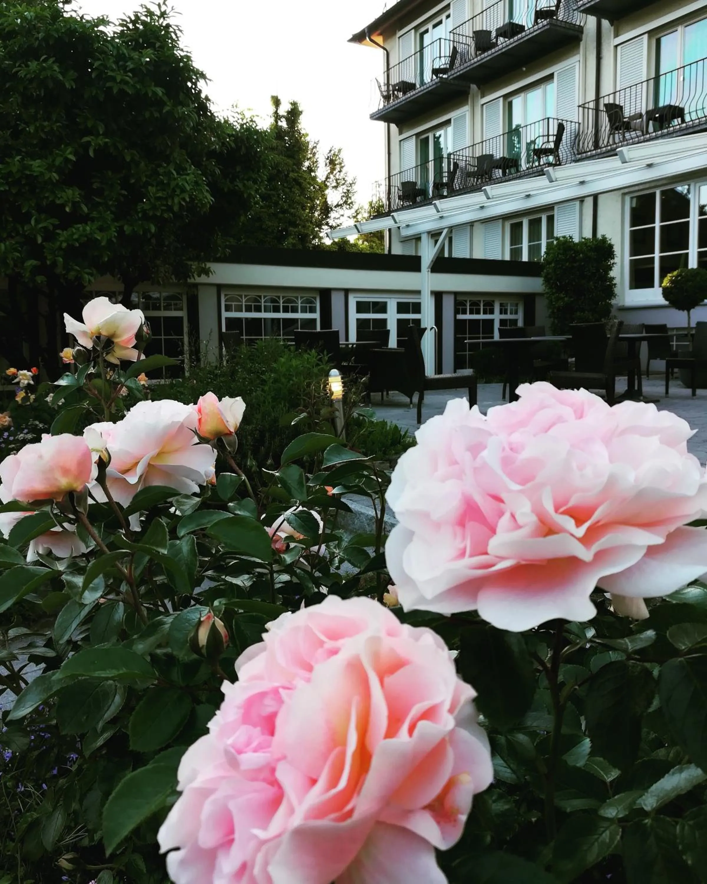 Property building in Hotel Lindenallee