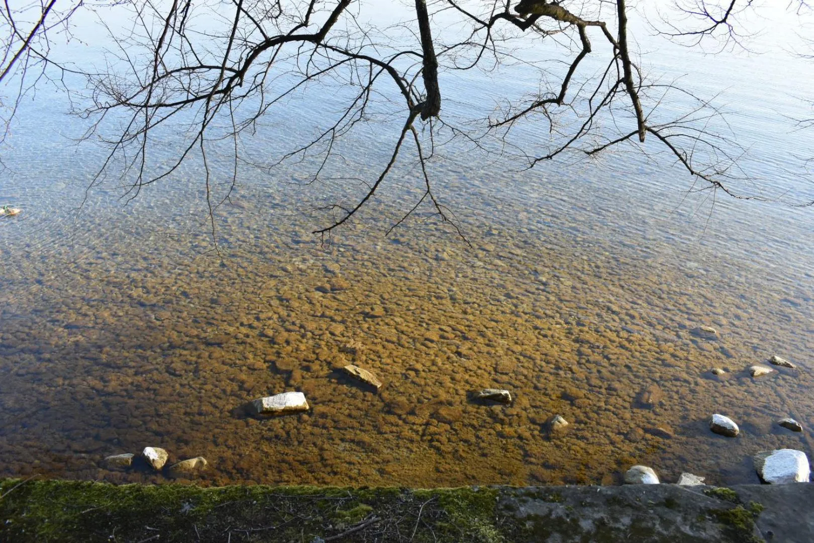 Natural landscape in Hotel Lindenallee