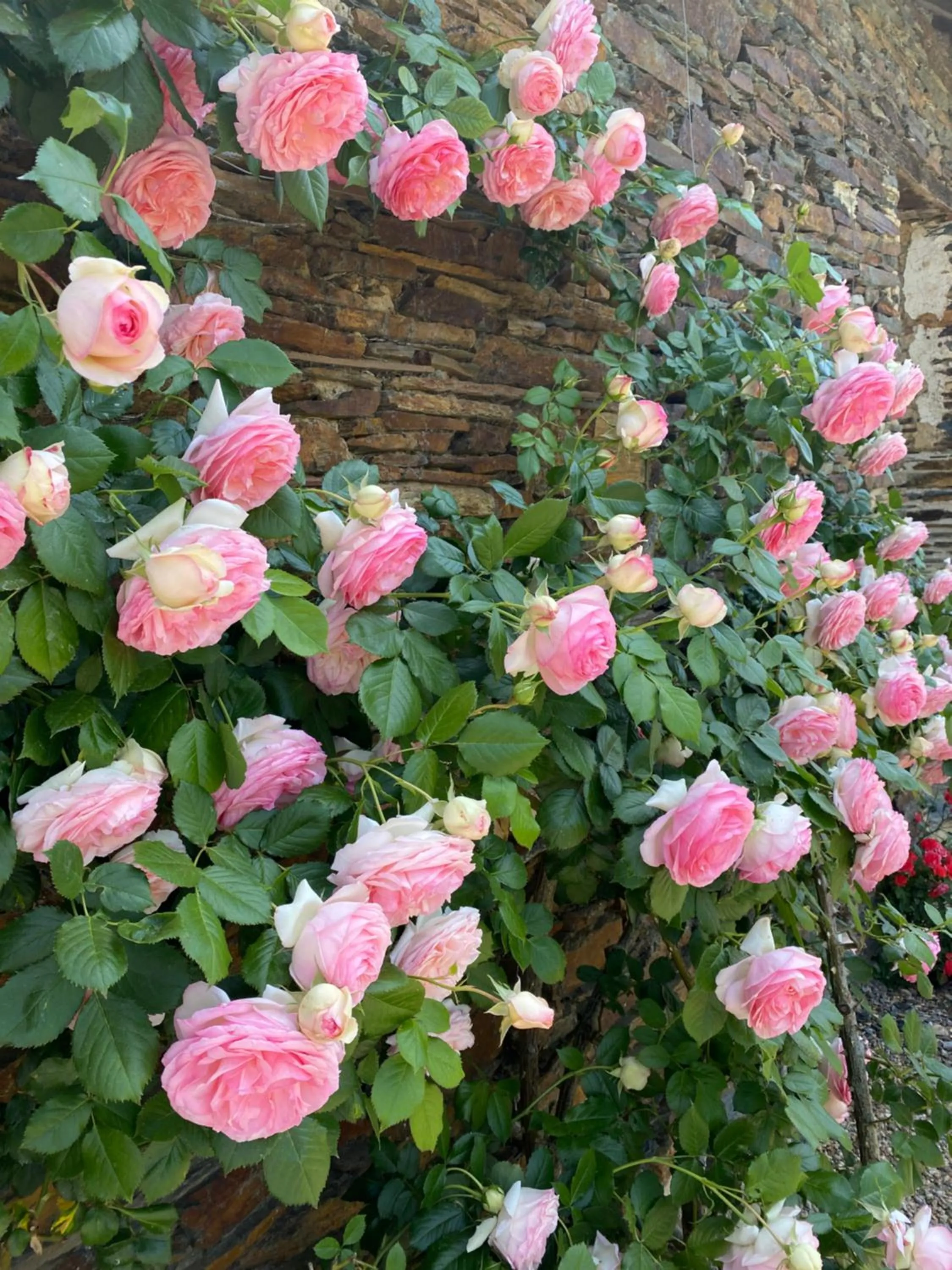 La Moulinière, jolie longère du XVIIè 25, chemin de la Source