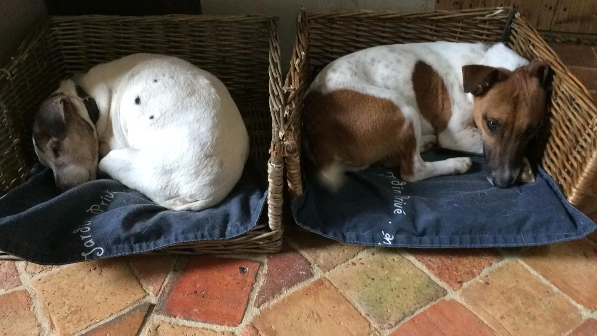 Pets in La Moulinière, jolie longère du XVIIè 25, chemin de la Source