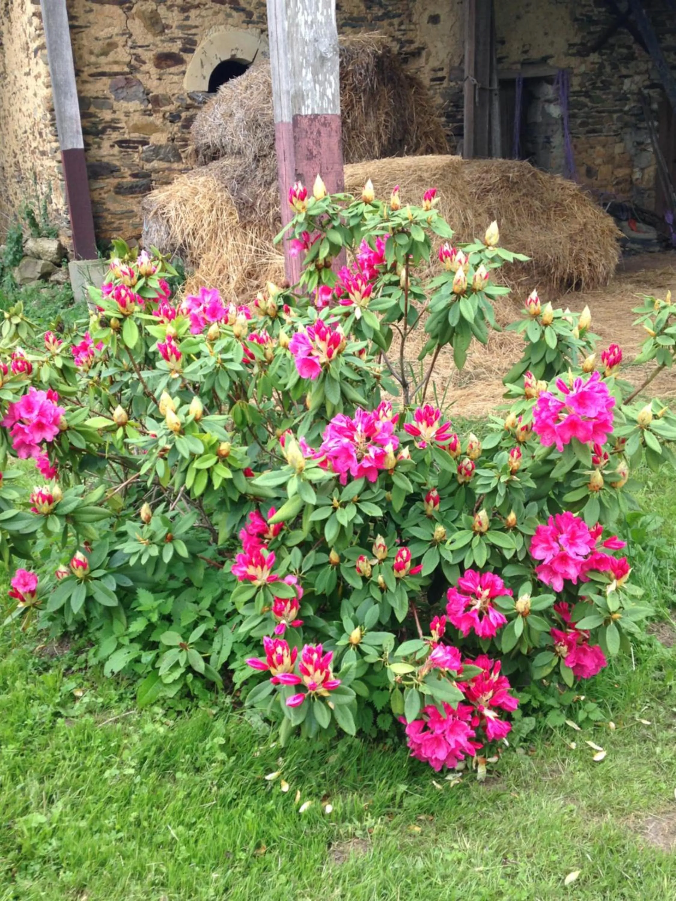 Property building in La Moulinière, jolie longère du XVIIè 25, chemin de la Source