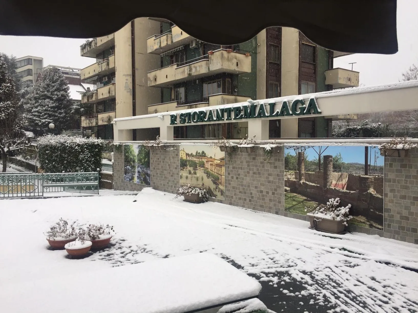 Garden view in Hotel Malaga