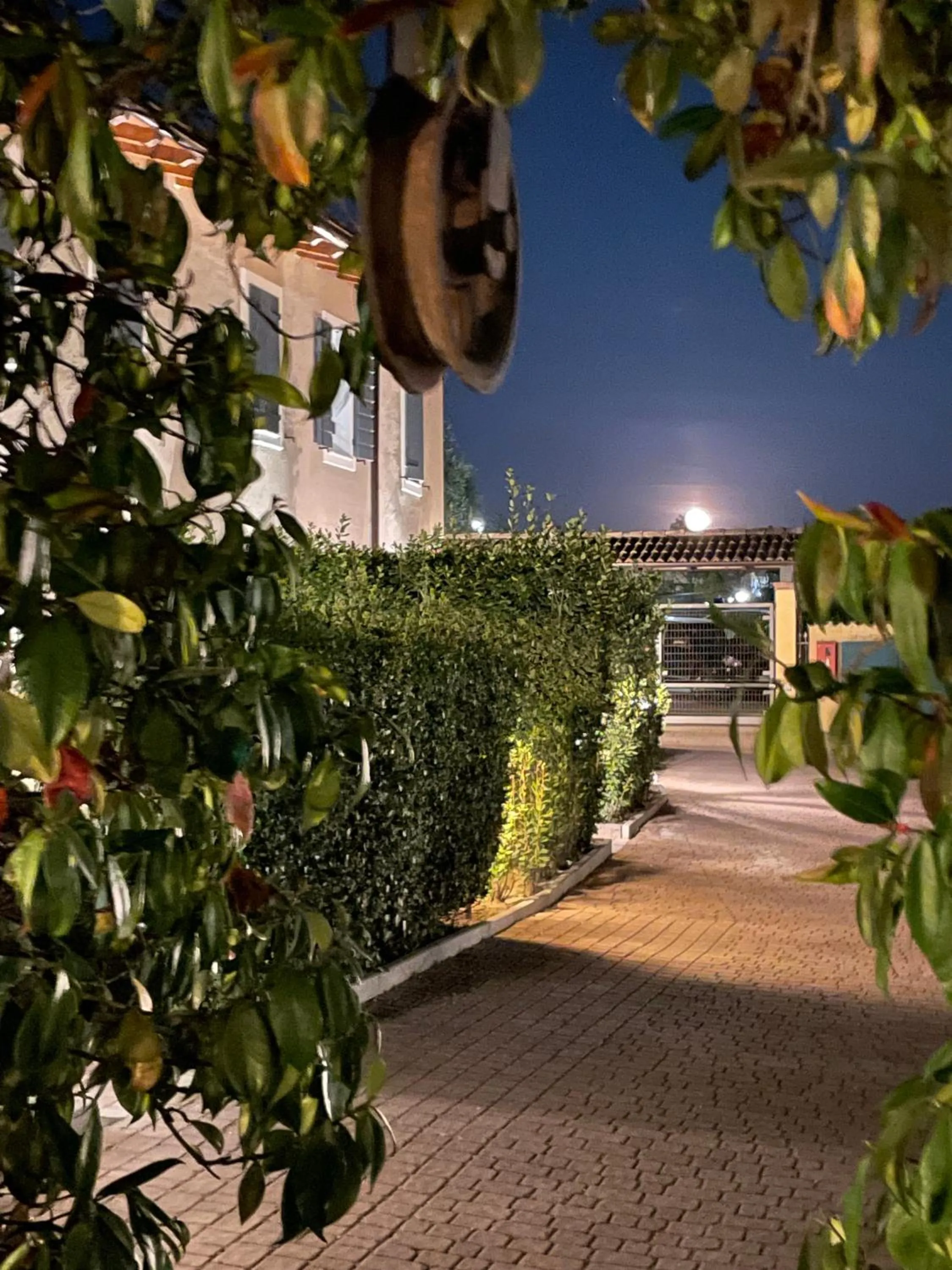 Patio in Bertoletta Village Apartments
