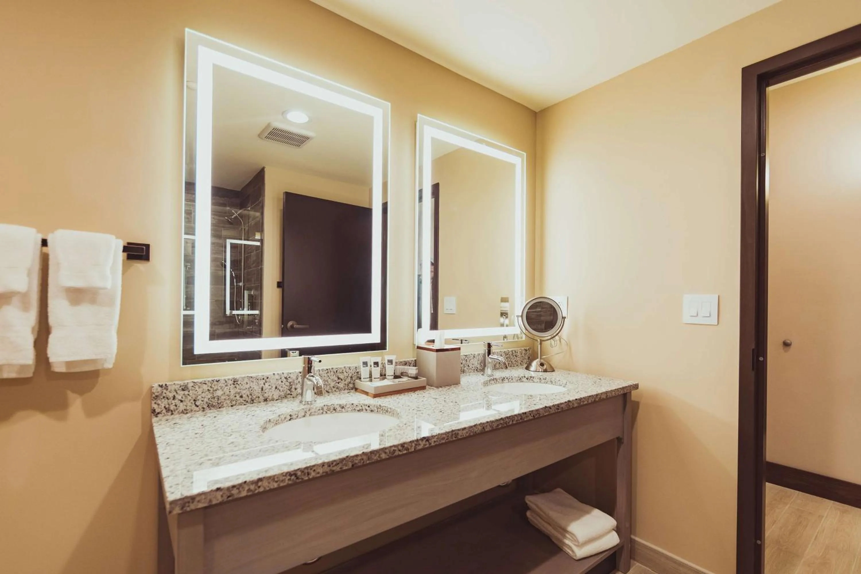 Bathroom in Tailwater Lodge Altmar, Tapestry Collection By Hilton