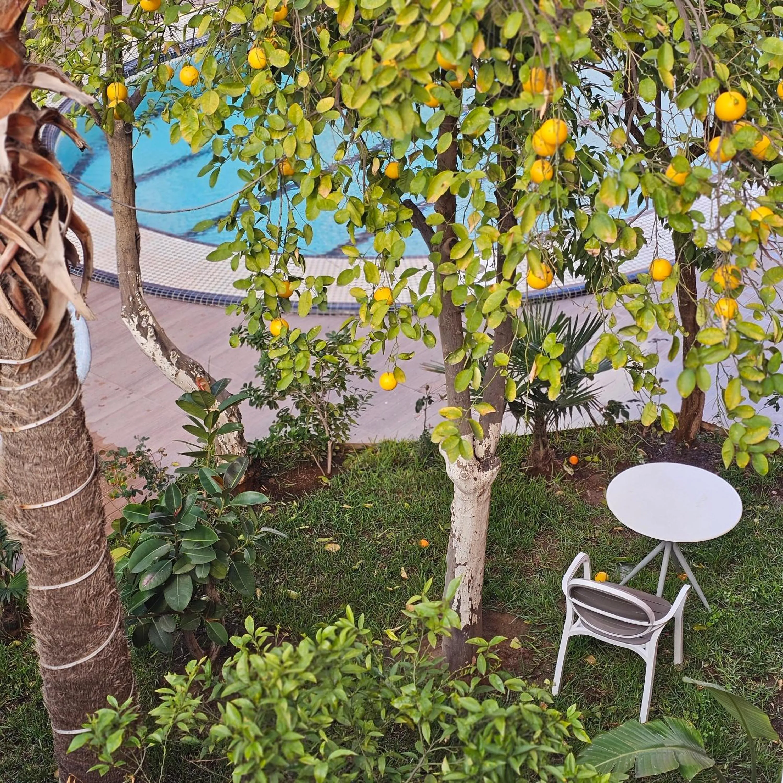 Hotel EZZAHIA by HMS