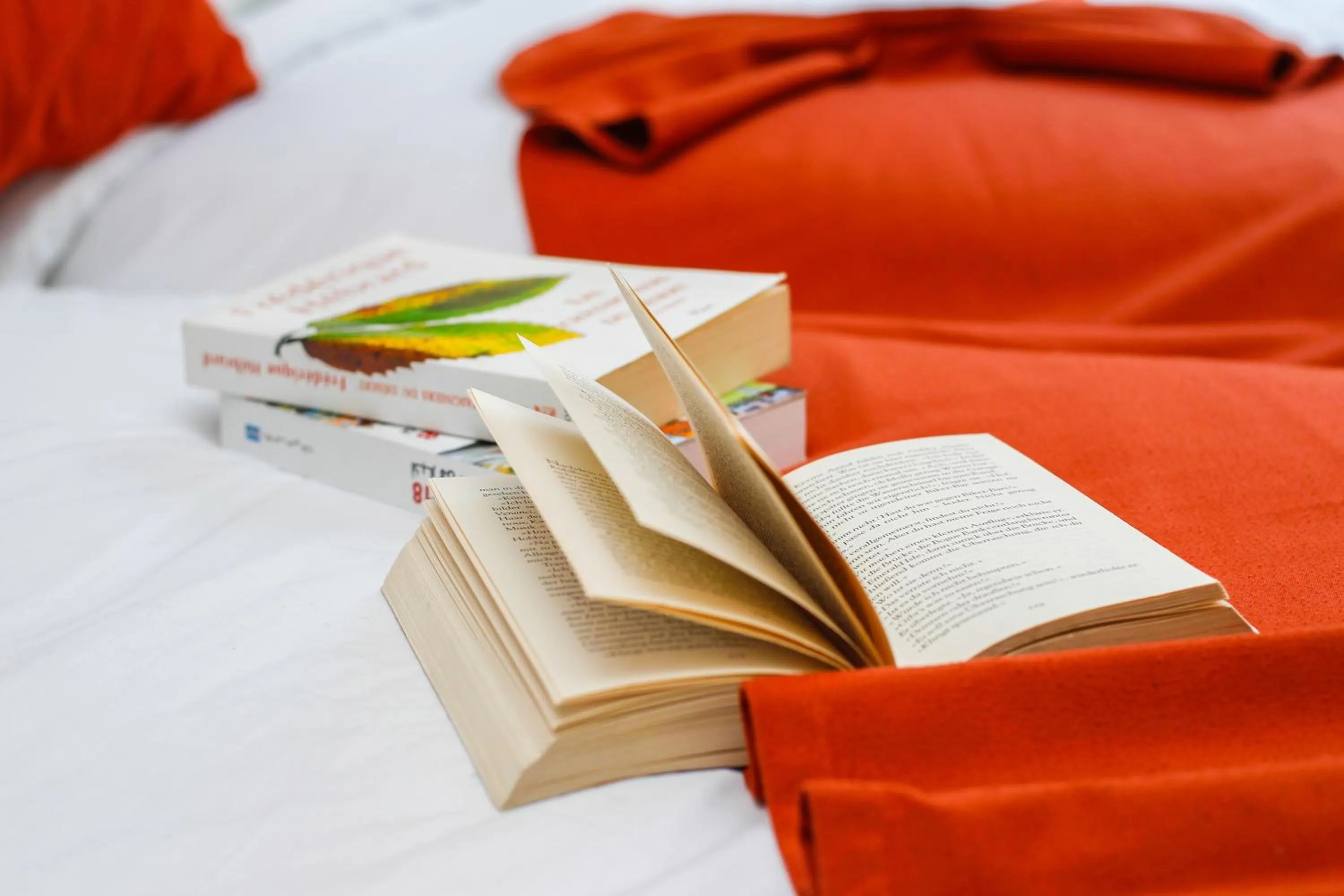 Decorative detail in Hotel EZZAHIA by HMS