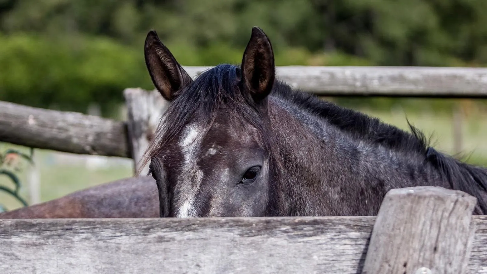 Activities in Estancia La Bandada