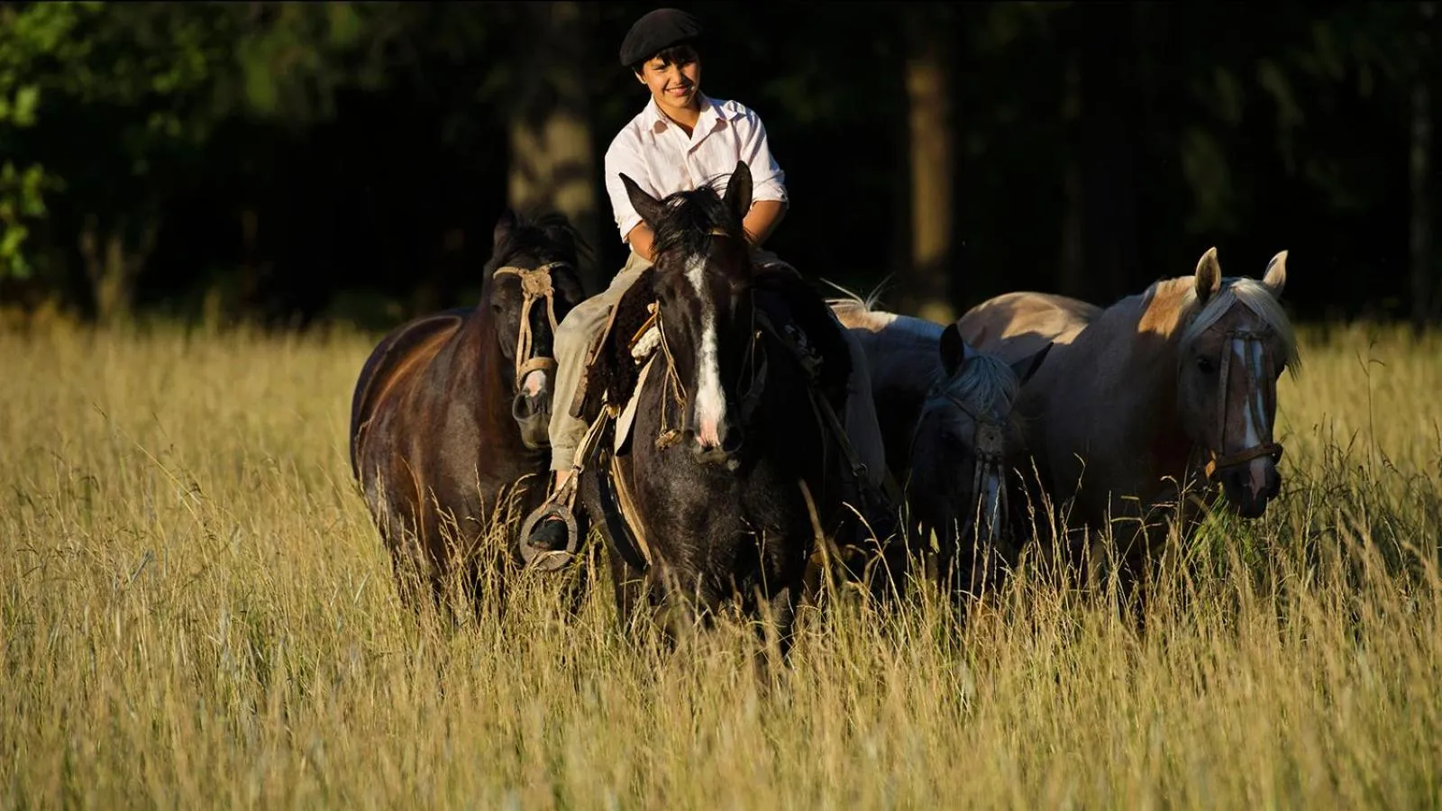 Activities in Estancia La Bandada