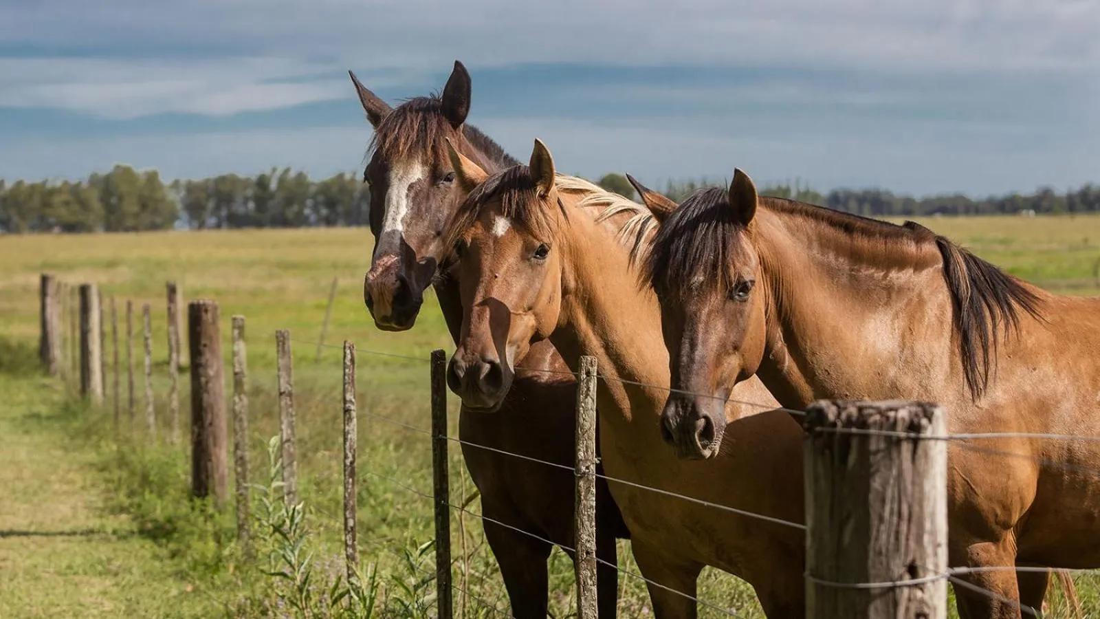 Activities in Estancia La Bandada