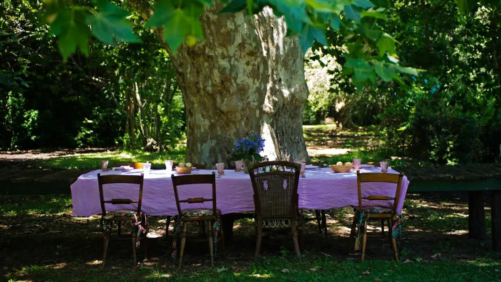 Garden view in Estancia La Bandada Garden view in Estancia La Bandada
