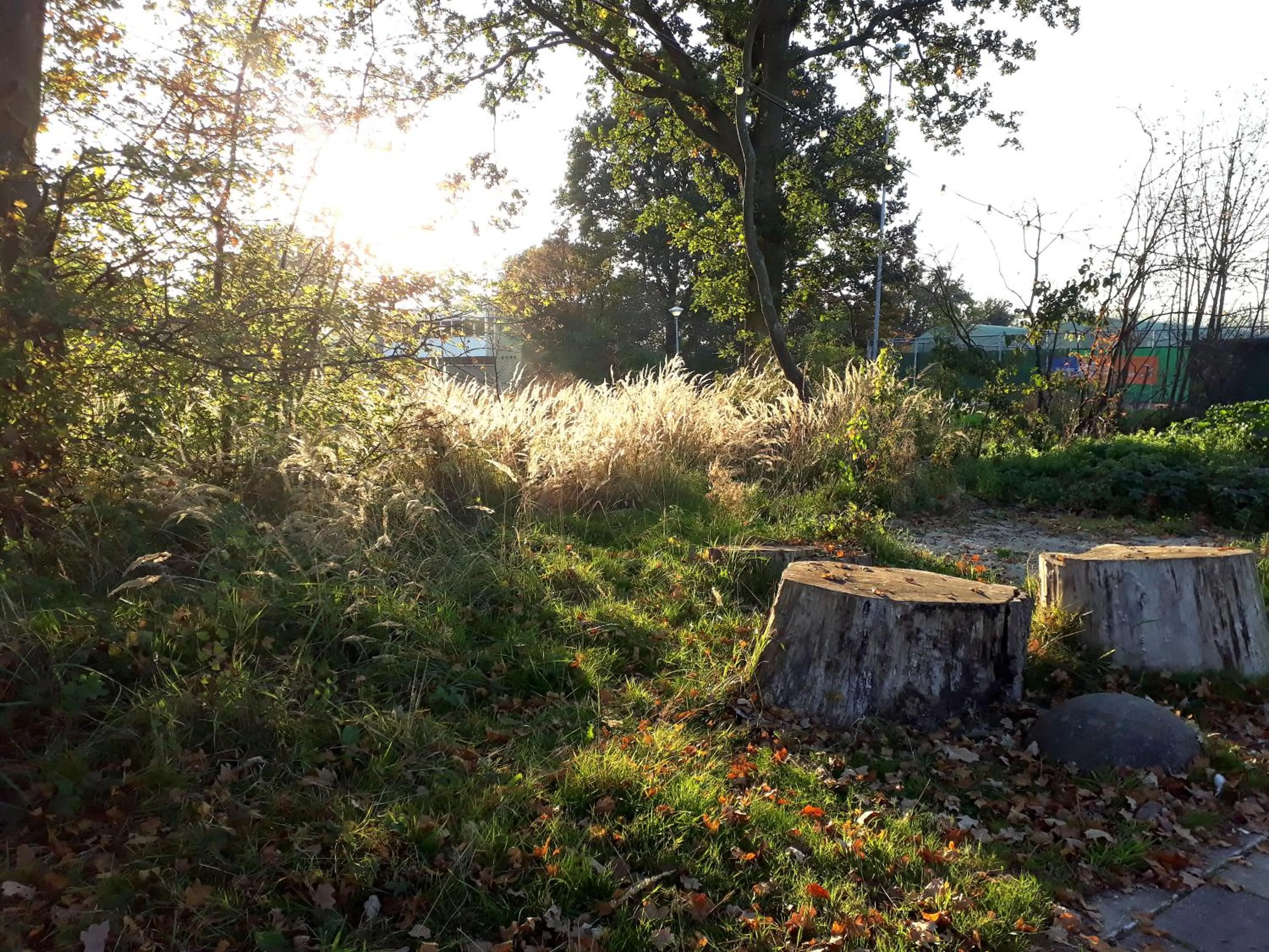 Garden in Amsterdam Farm Lodge