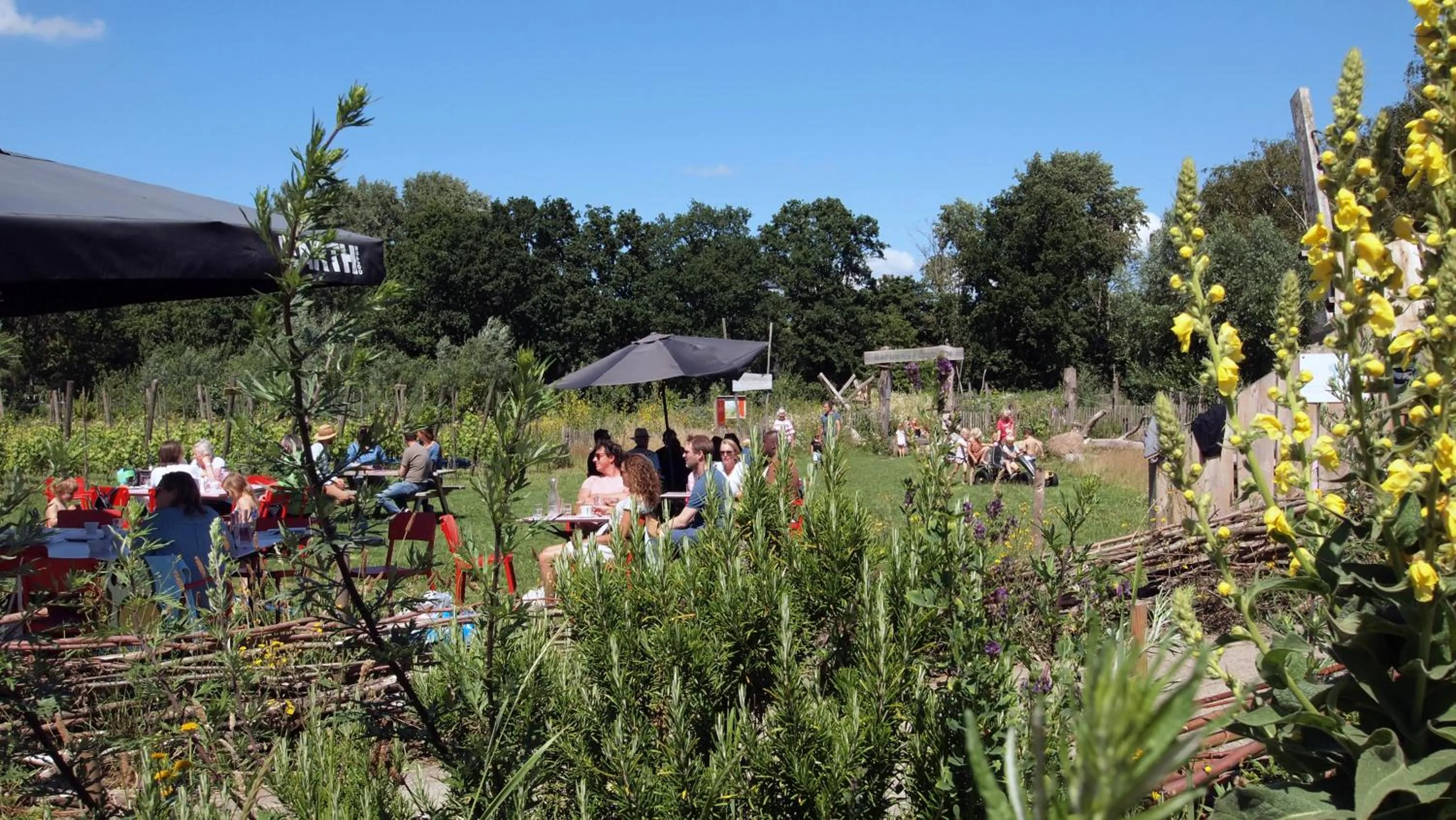 People in Amsterdam Farm Lodge