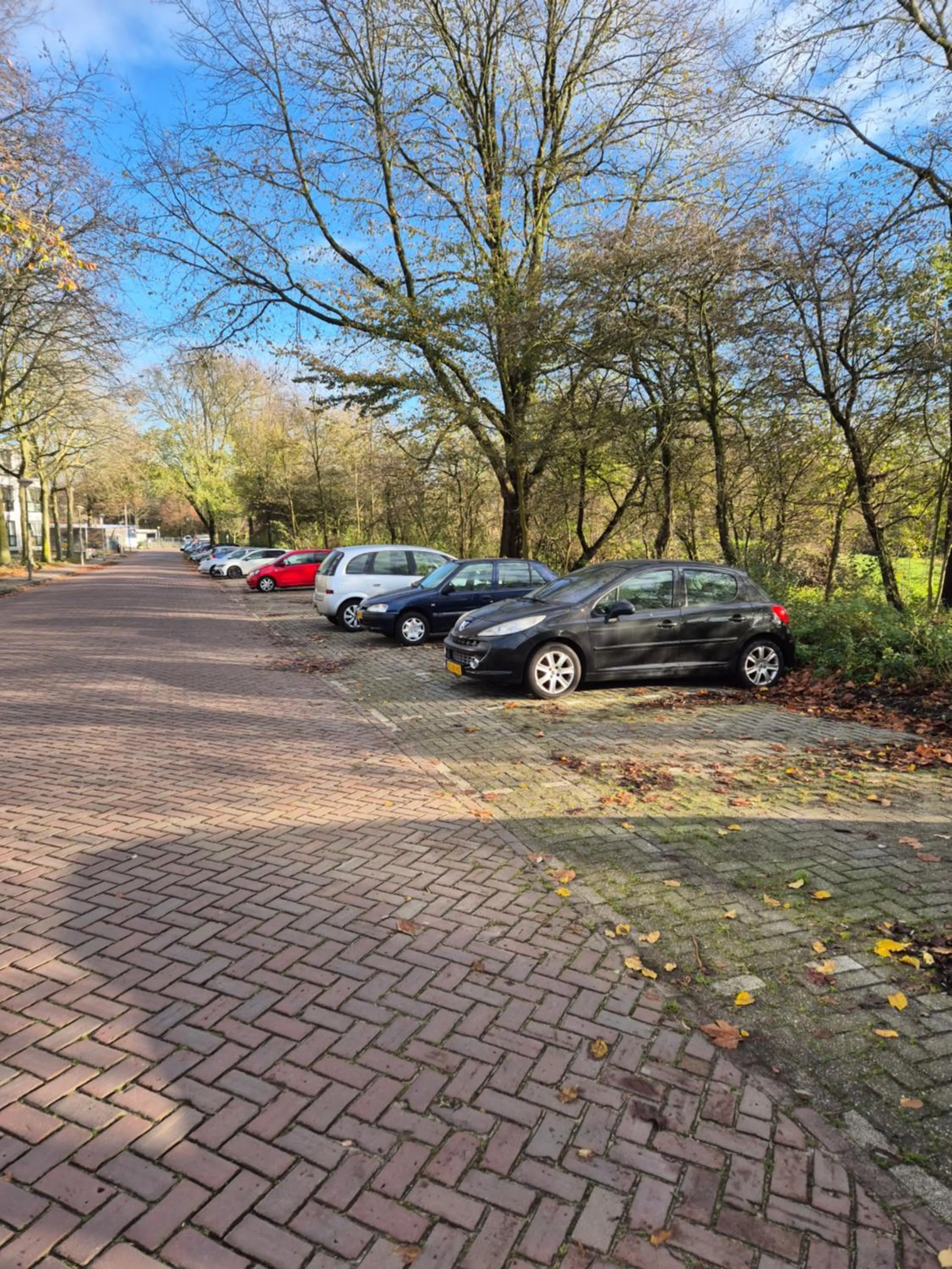 Amsterdam Farm Lodge