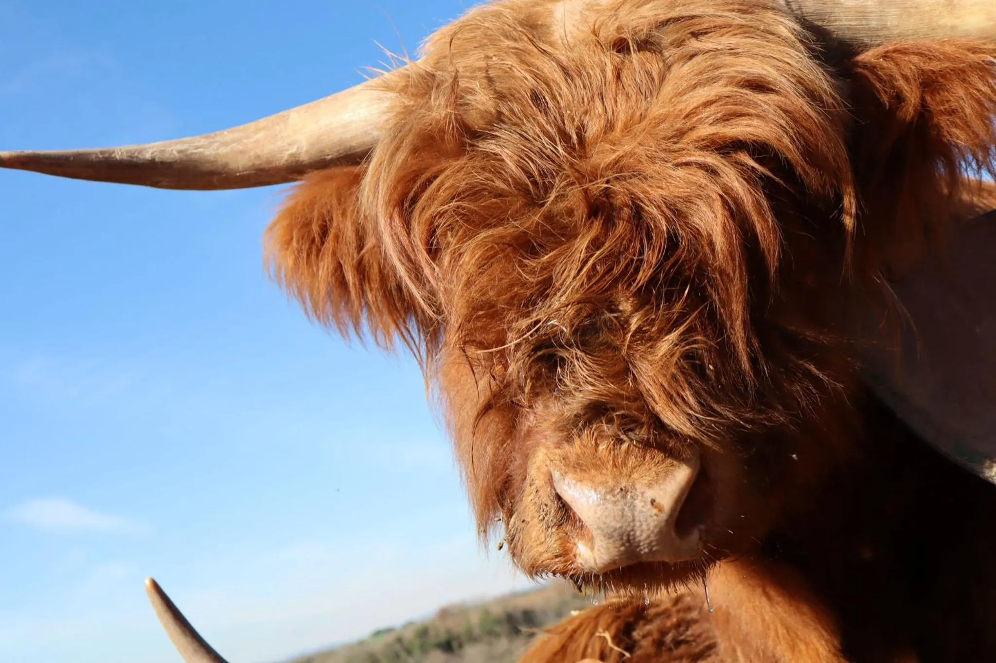 Garden in Poggio dei cavalieri