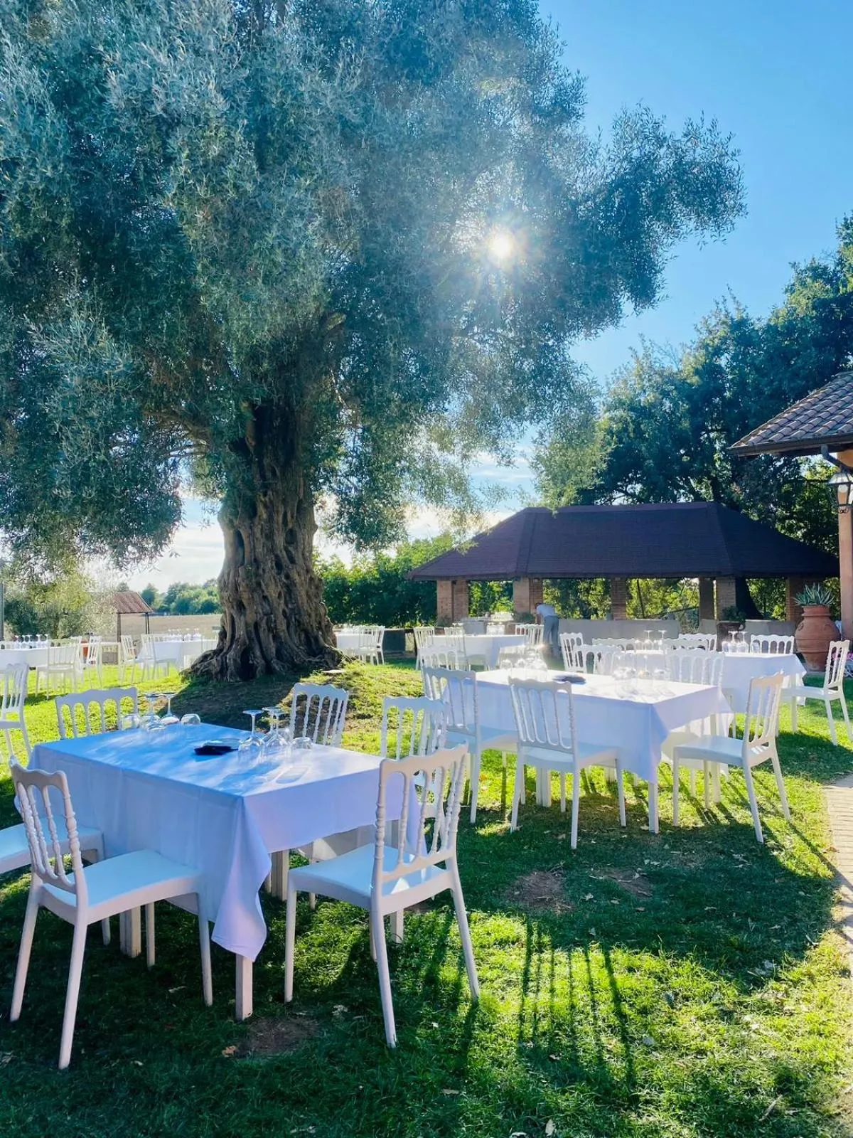 Poggio dei cavalieri