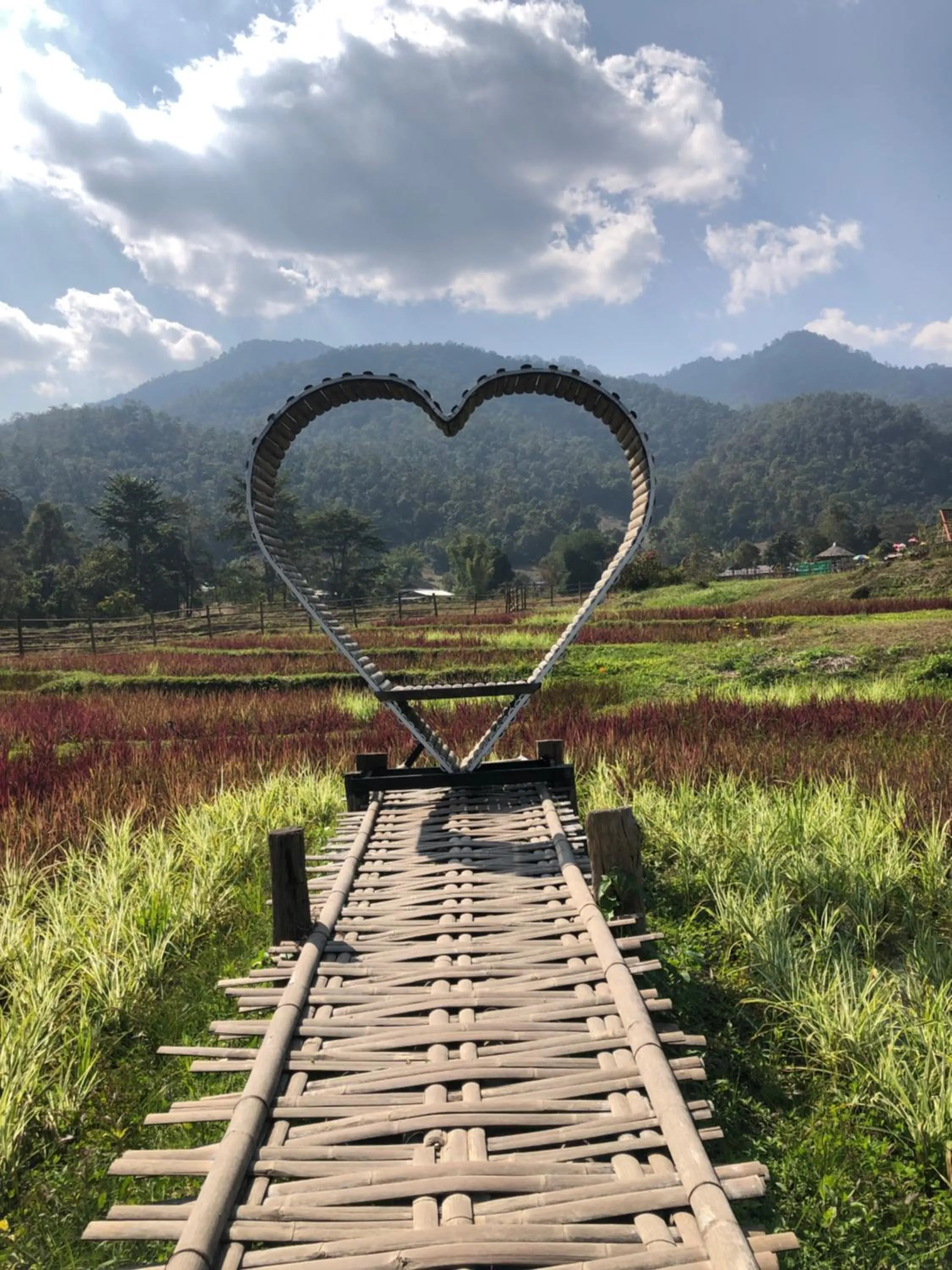 Pura Vida Pai Resort